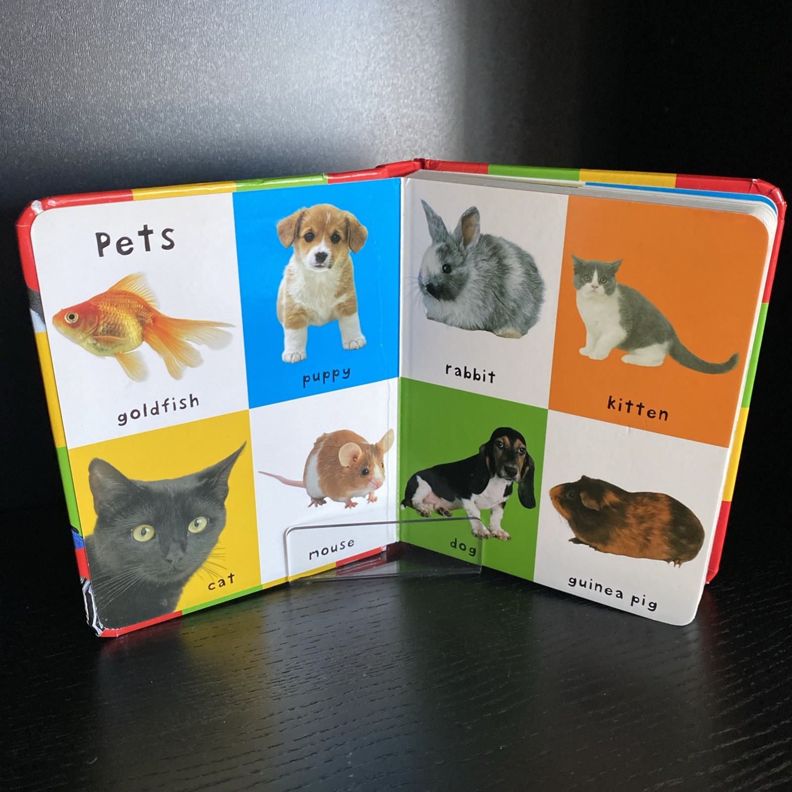 First 100 Animals Board Board