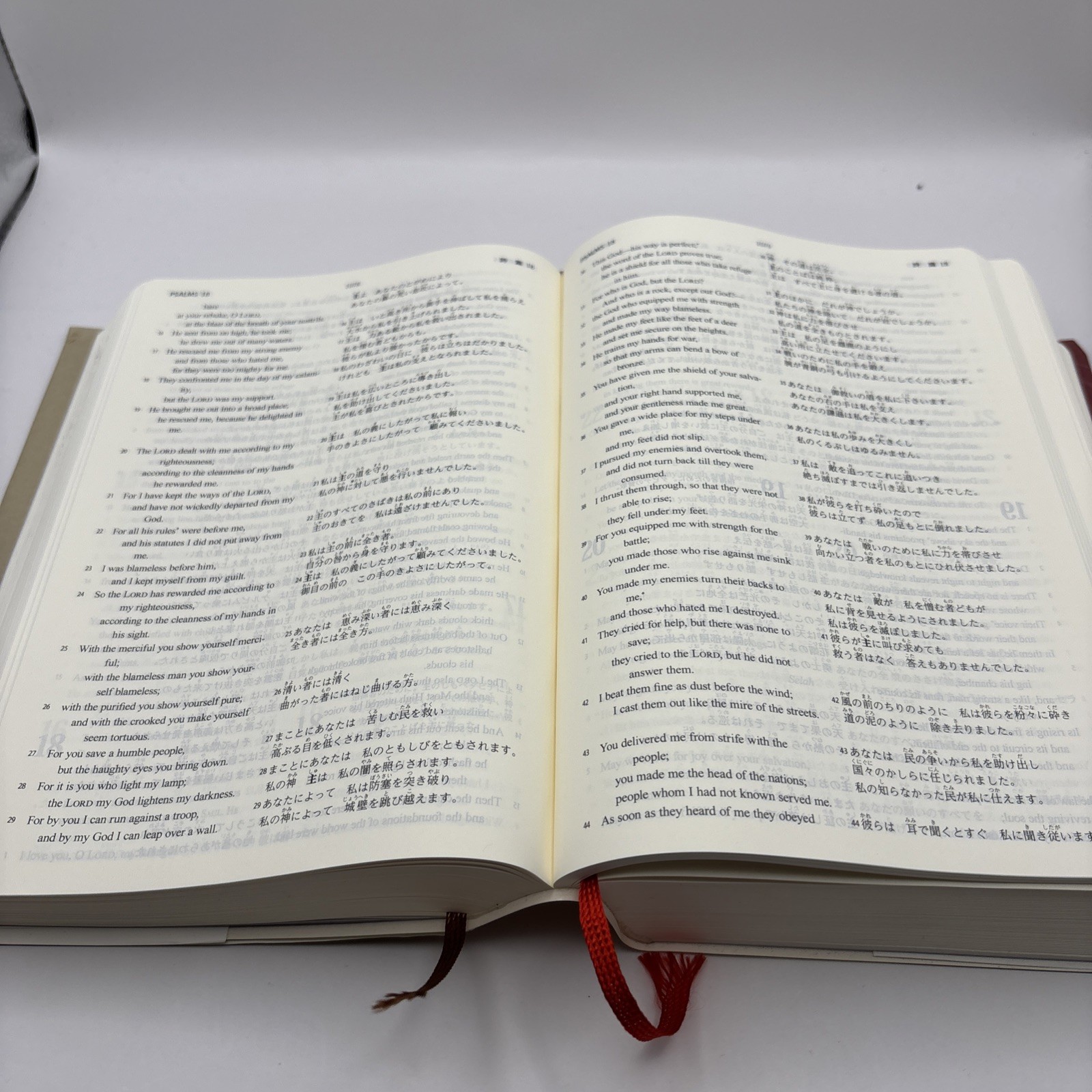 Bilingual Bible Japanese-English Old/New Testament ESV/2022 Inochi no Kotoba Sha