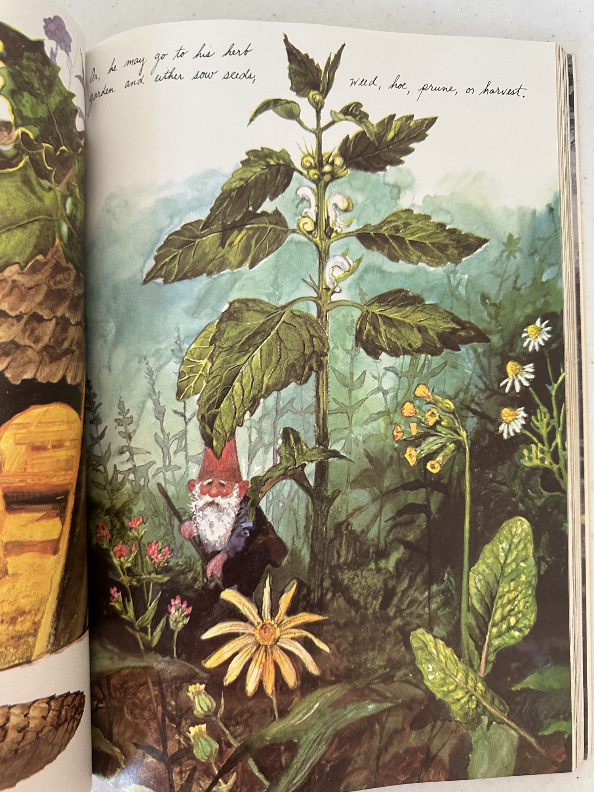 Gnomes Huygen Poortvliet 1979 1st PB printing art fairy fantasy VTG forest draw