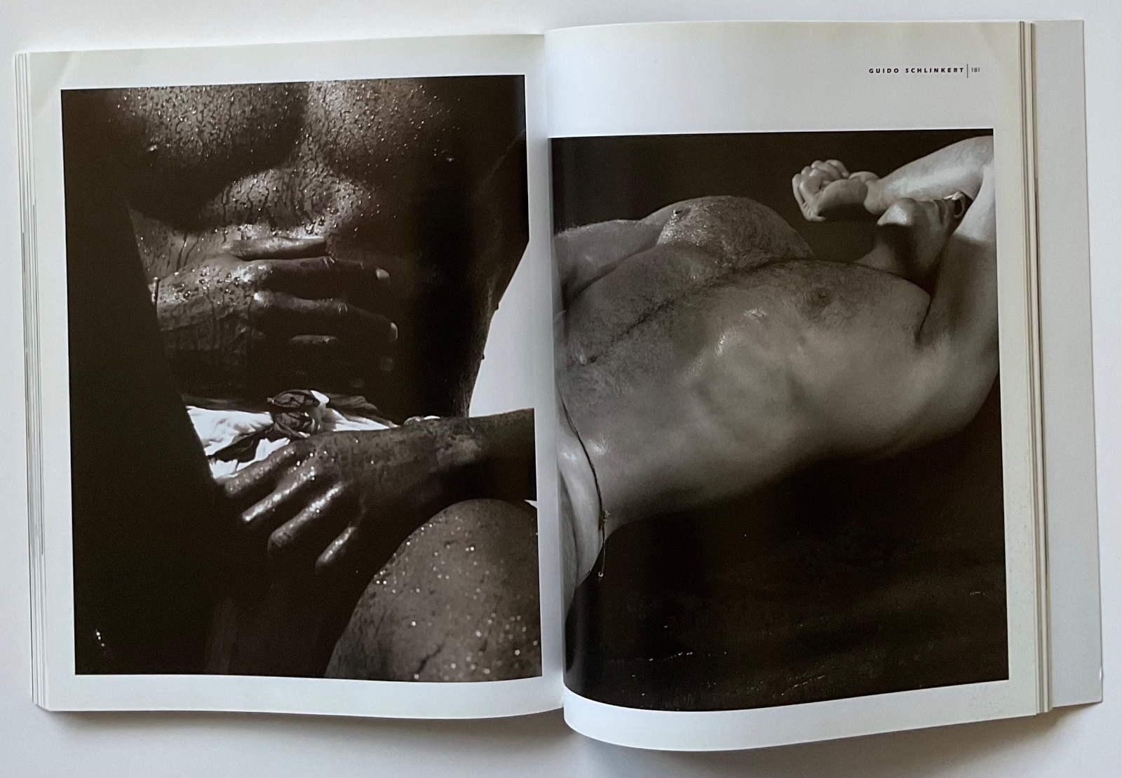 ADONIS Masterpieces of Erotic Male Photography OOP 1999 Book HERB RITTS ++++