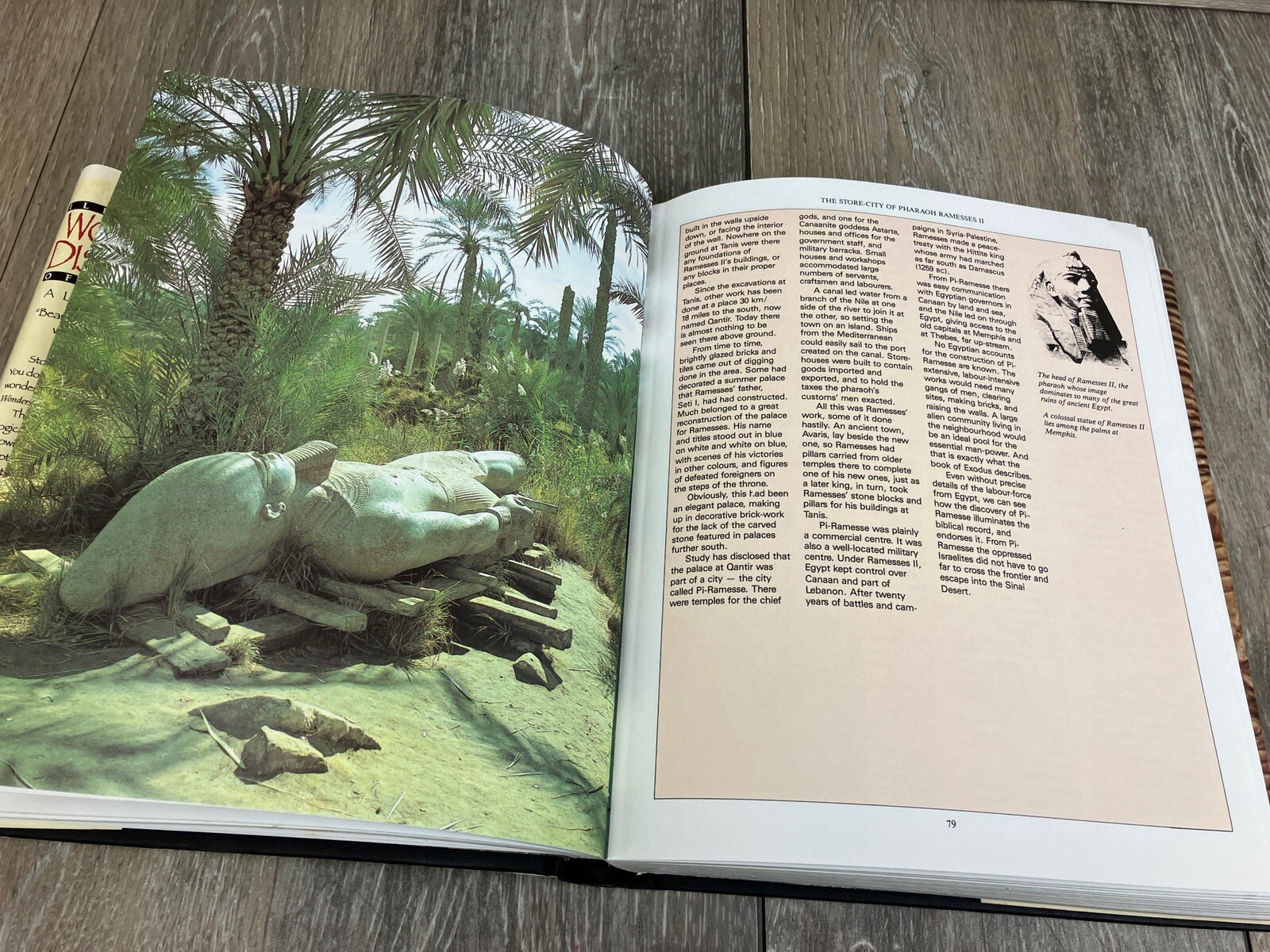 Illustrated Wonders & Discoveries Of The Bible Hardcover Alan Millard