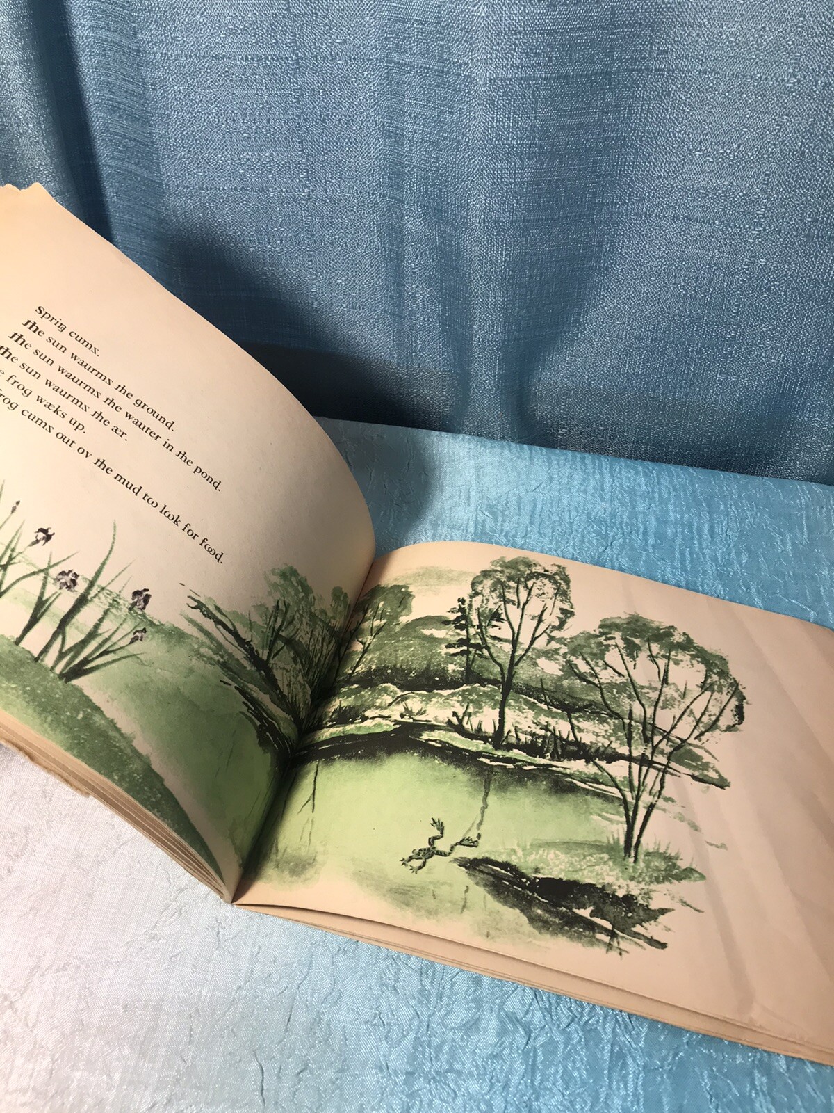 What Is A Frog Vintage 1st Edition Paperback Strange Edition whot iz a frog?