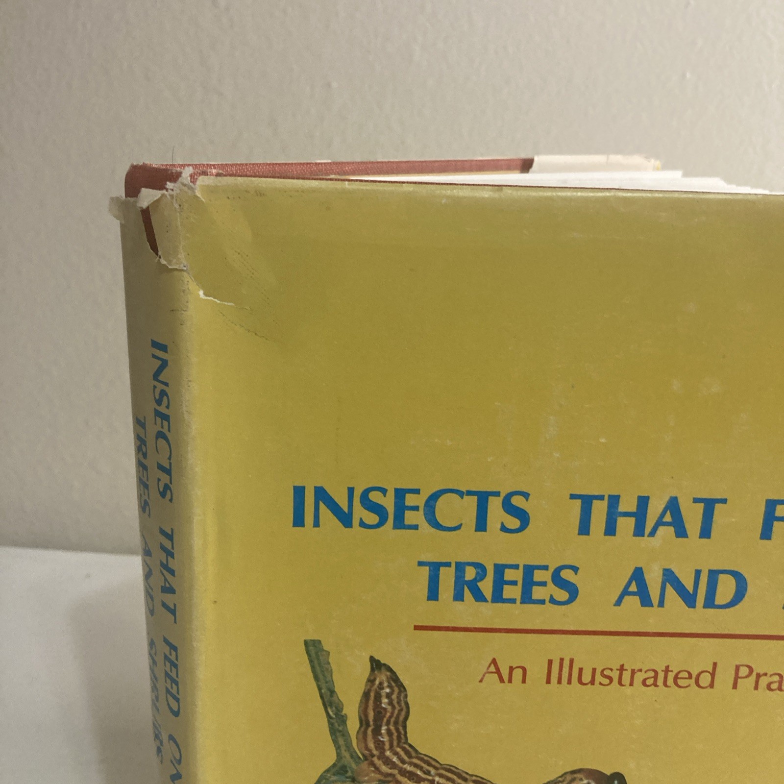 Insects That Feed On Trees and Shrubs by Warren Johnson + Howard H. Lyon HC/DJ