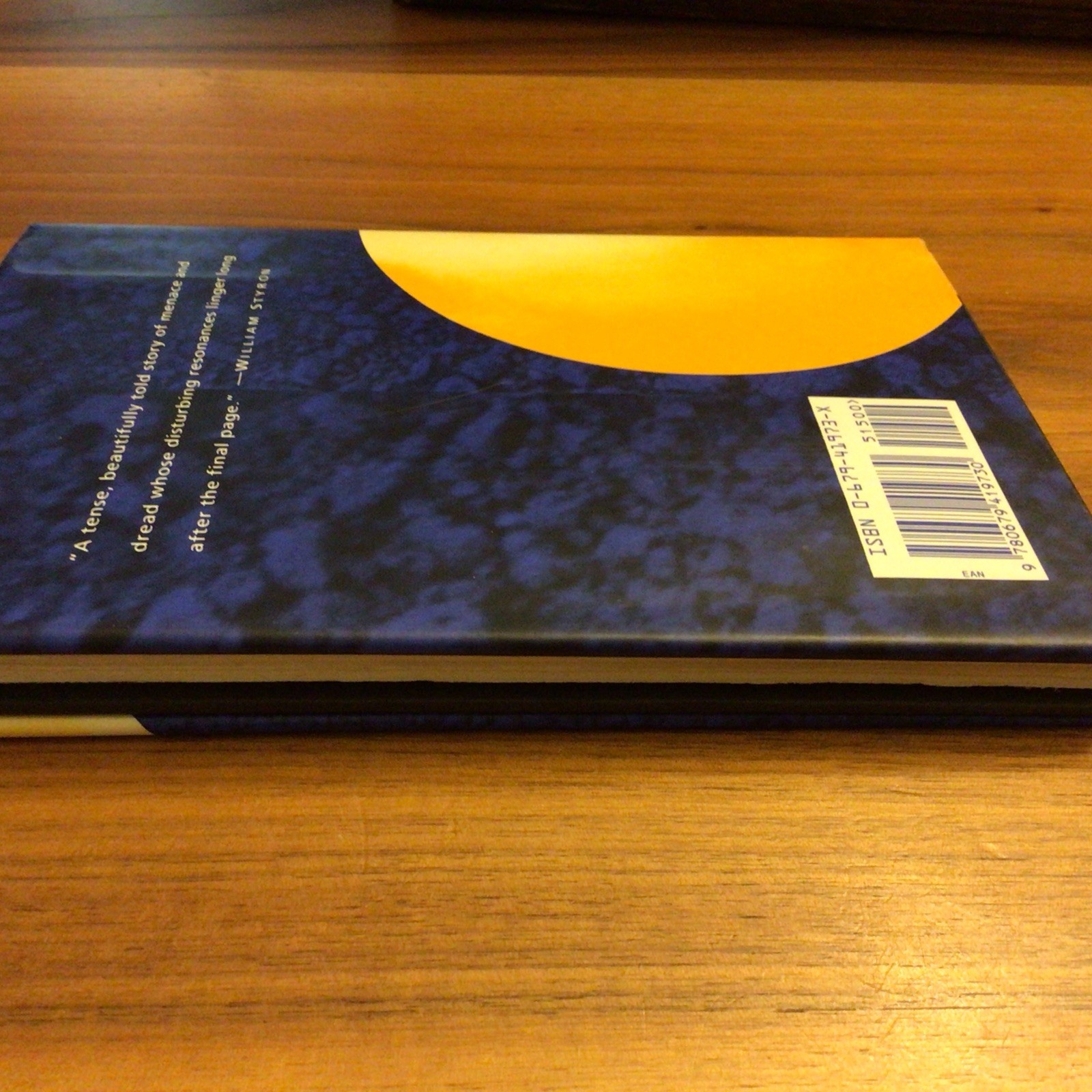 The Vanishing A Novel By Tim Krabbe Hardcover Book First US Edition 1993