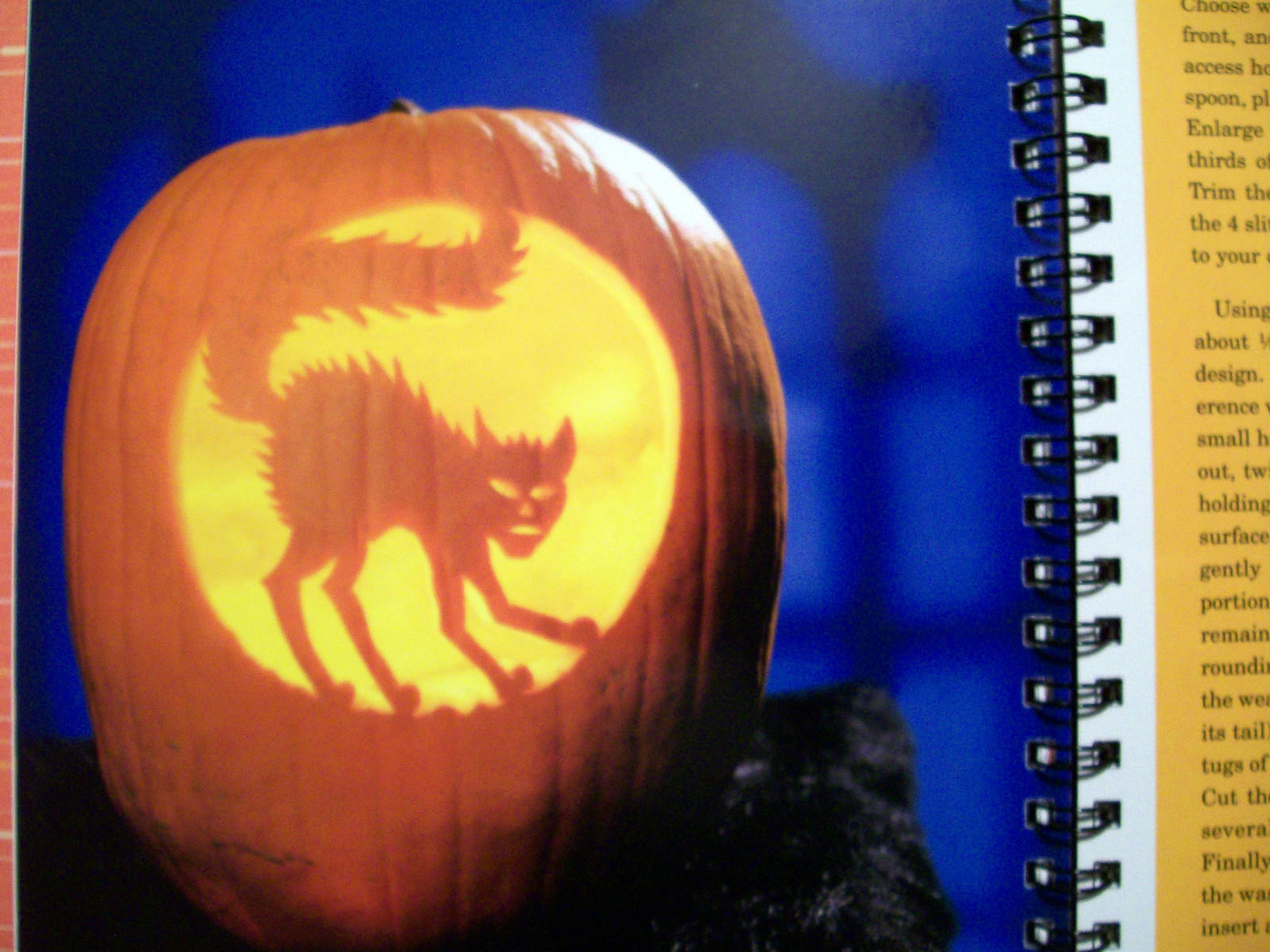 Great Pumpkins : Tricks and Treats for Halloween by Peter Cole (2003, Hardcover)