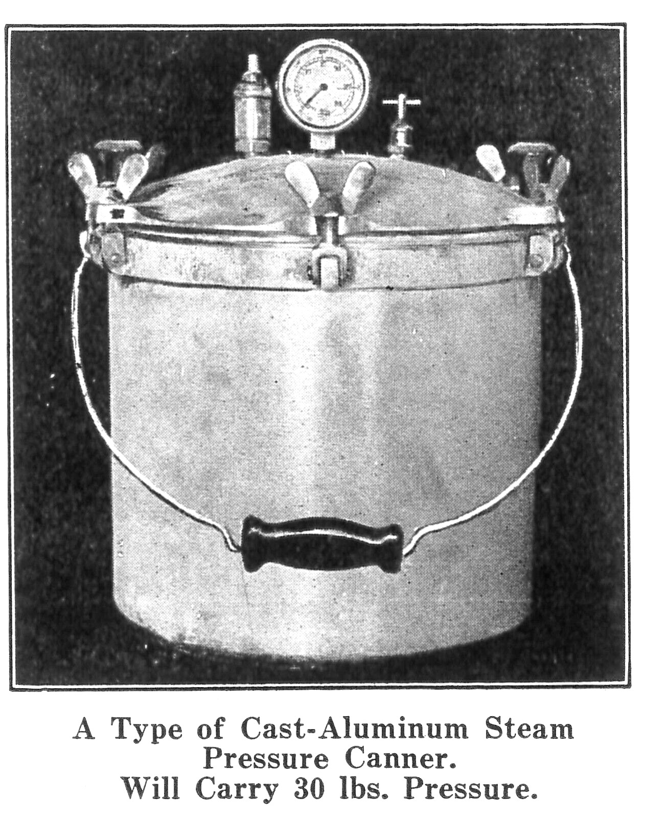 Home Canning Preserving & Pickling 1936 Old Timey Recipe Book Homesteading 4H