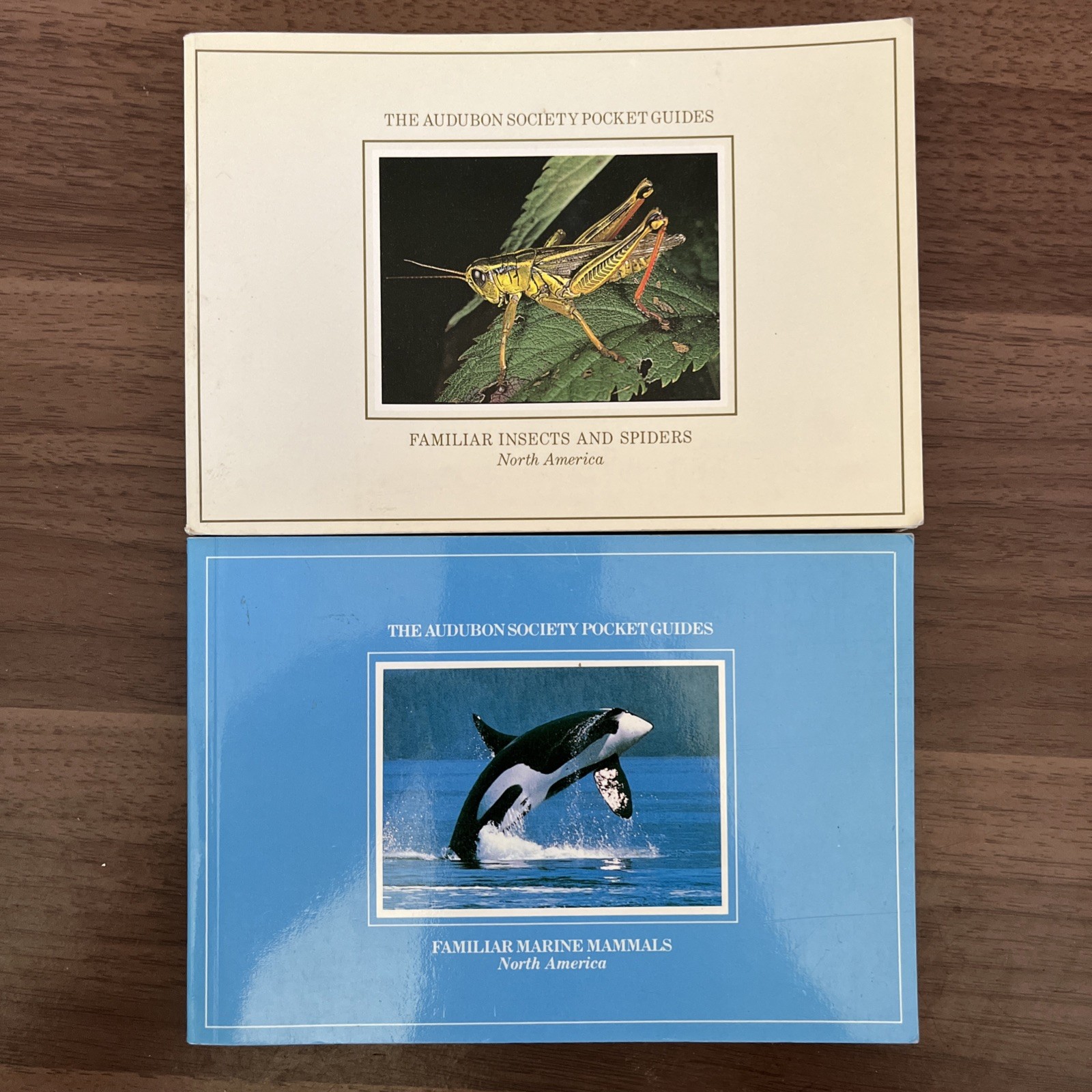 National Audubon Society Pocket Guide Lot Of 2-insects & Marine Animals Vintage