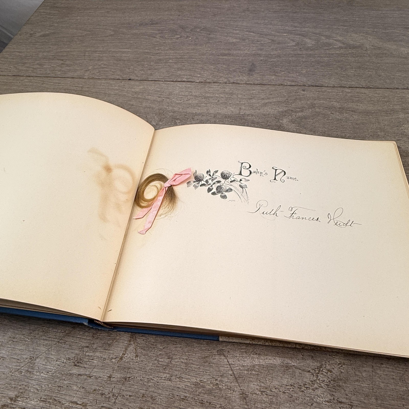 Vintage 1897 Baby’s Kingdom Annie F. Cox Baby Memory Book Hardcover Boston MA