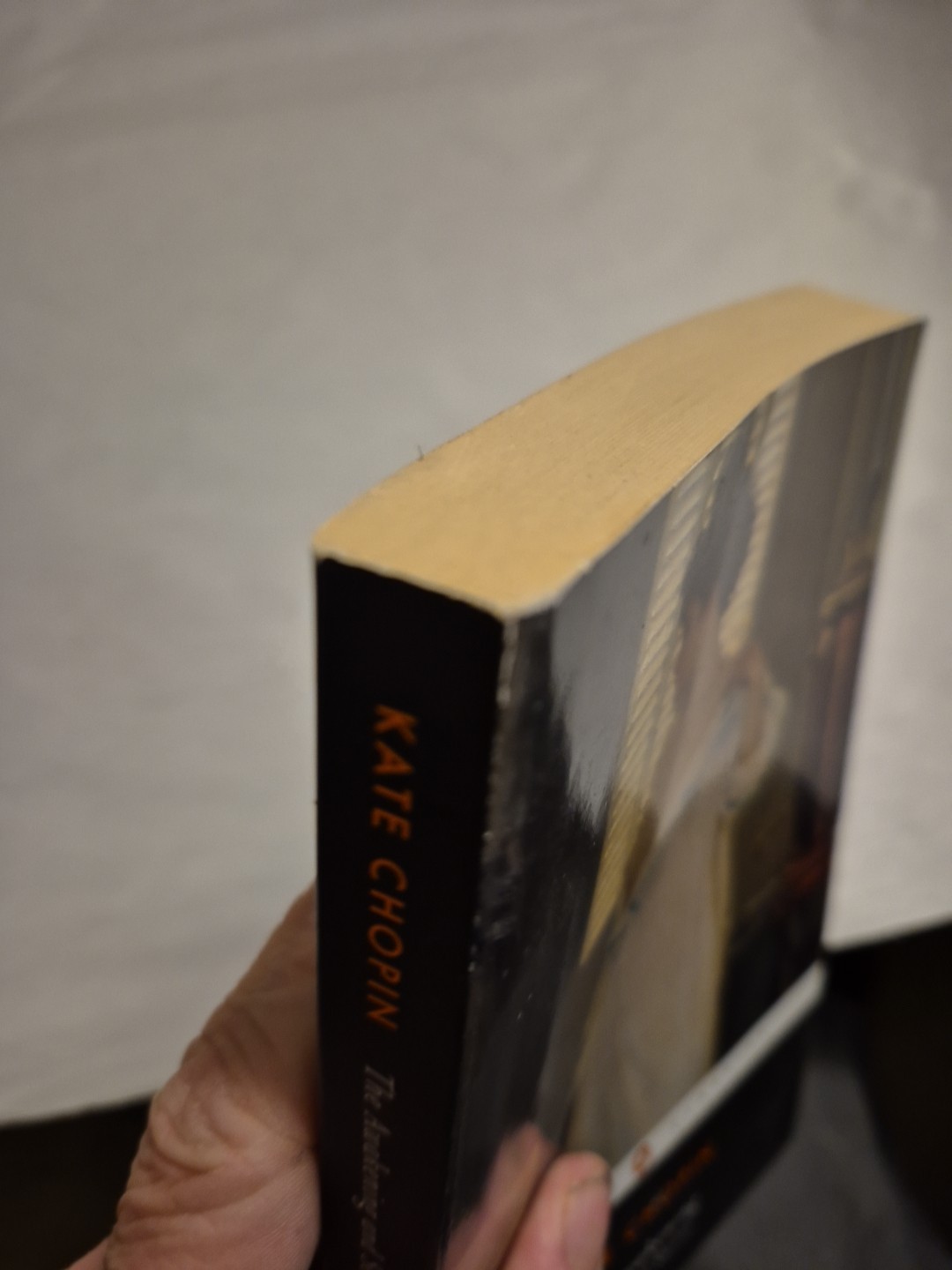 The Awakening and Selected Stories Kate Chopin Penguin Classics TPB Literature