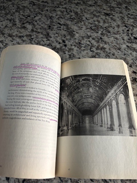 Believing Is Seeing : Creating the Culture of Art by Mary Anne Staniszewski SALE