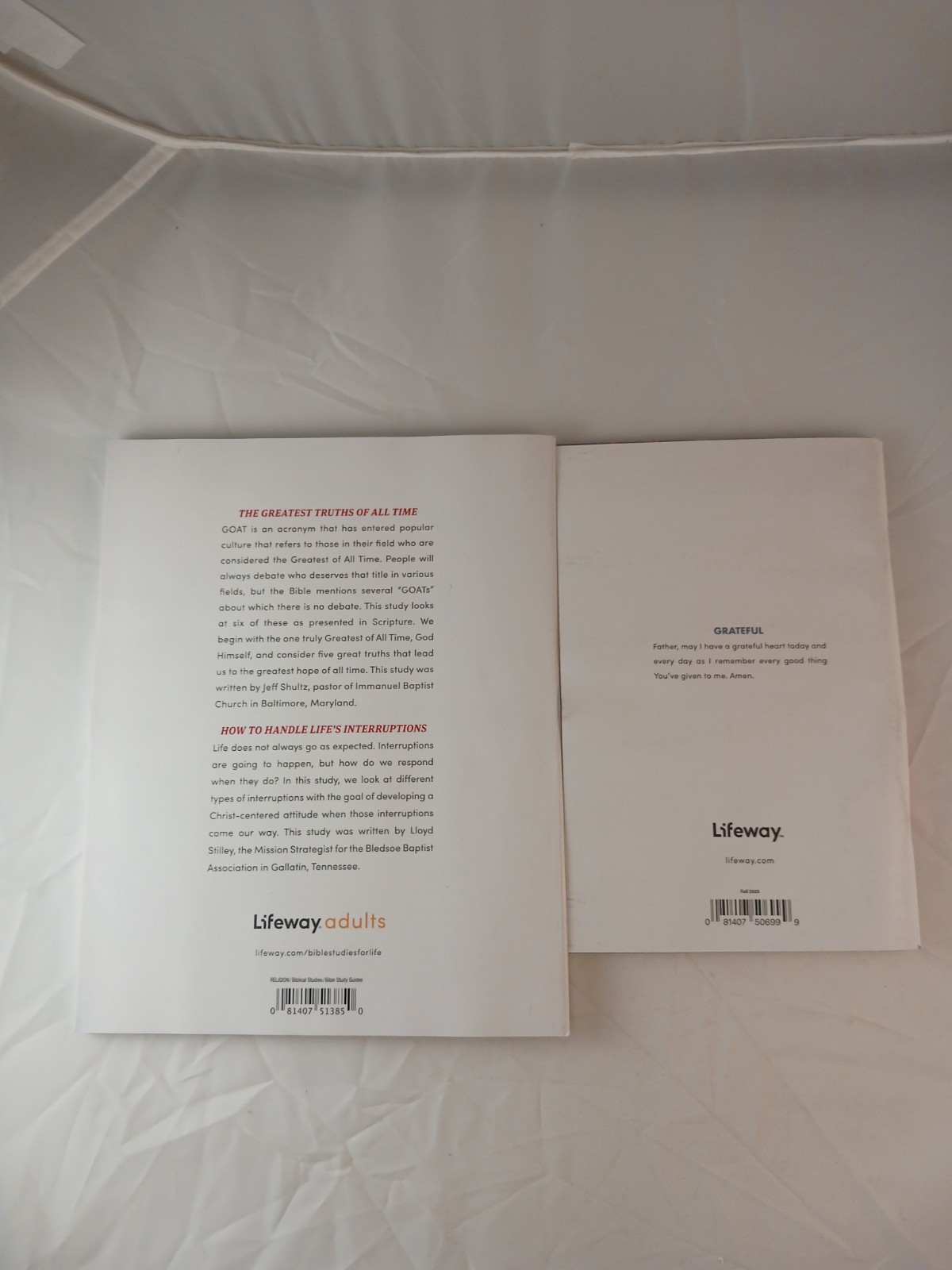 Open Windows Devotions Fall 2025 & Bible Studies For Life Study Guide, 2 Books