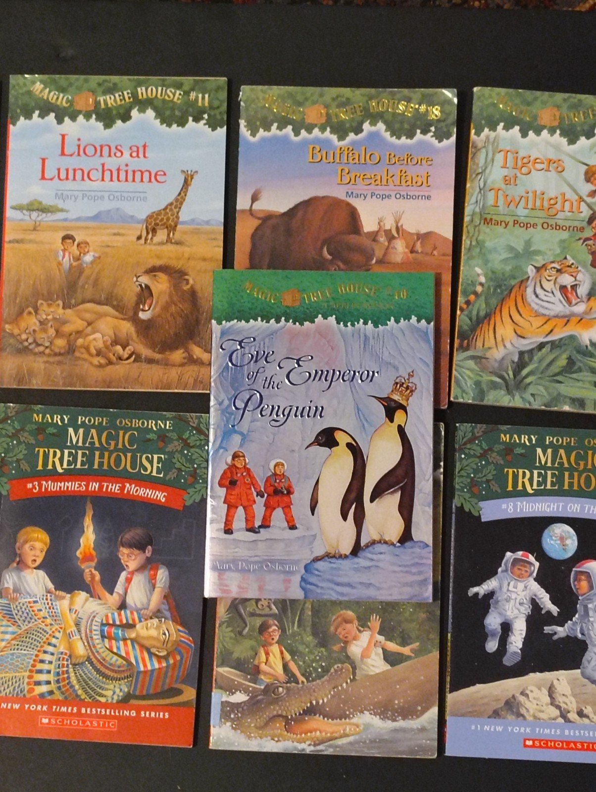 Magic Tree House by Mary Pope Osborne, Children’s PB Books -Lot of 11