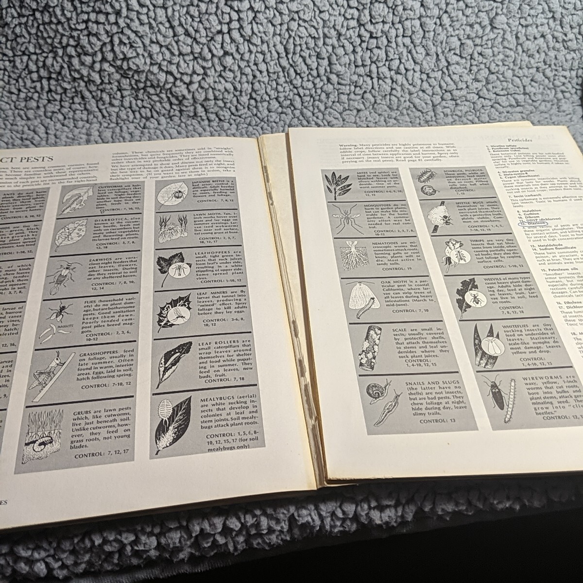 Sunset Magazine BASIC GARDENING ILLUSTRATED Vintage 1974