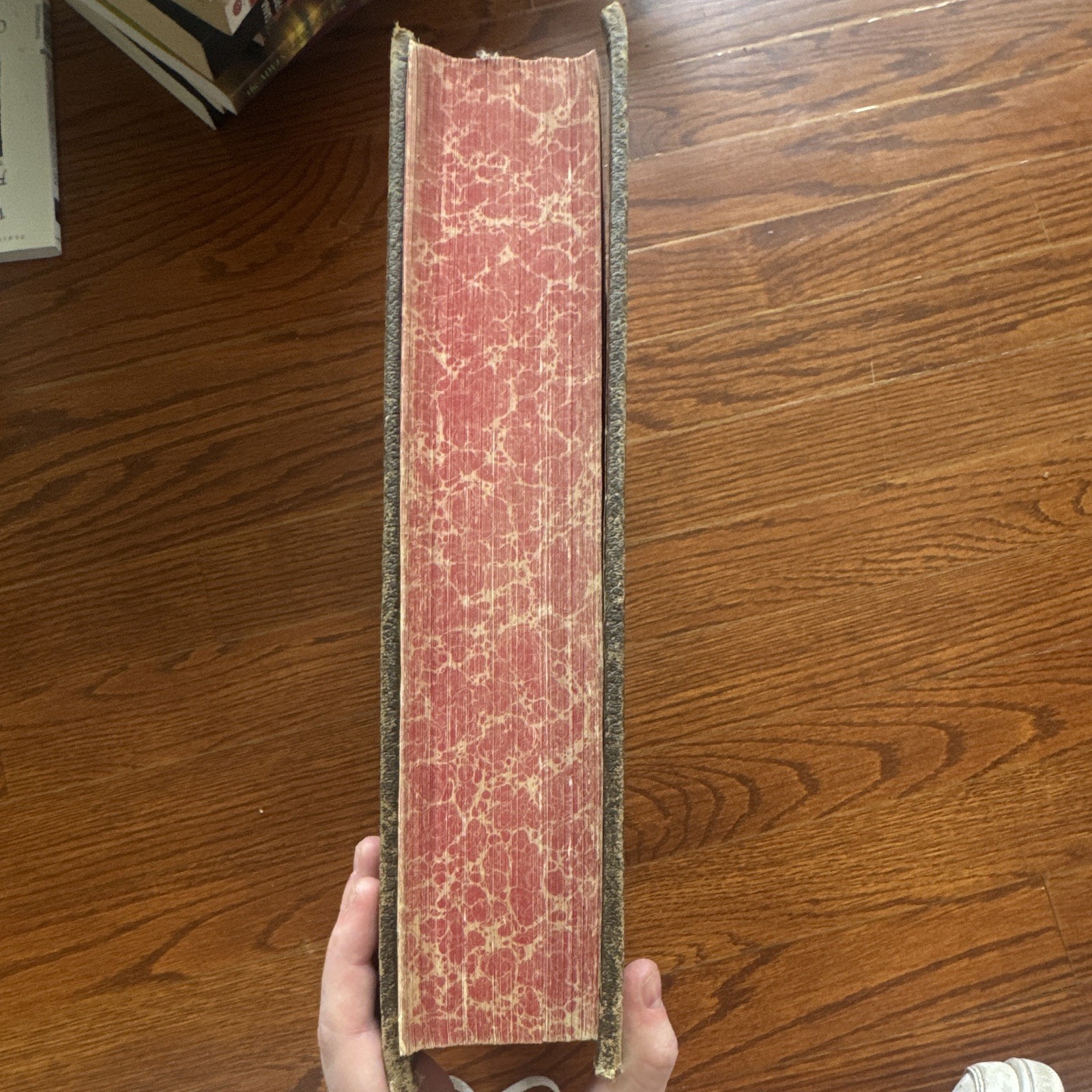 Vintage Illustrated Holy Bible – Ornate Victorian Cover