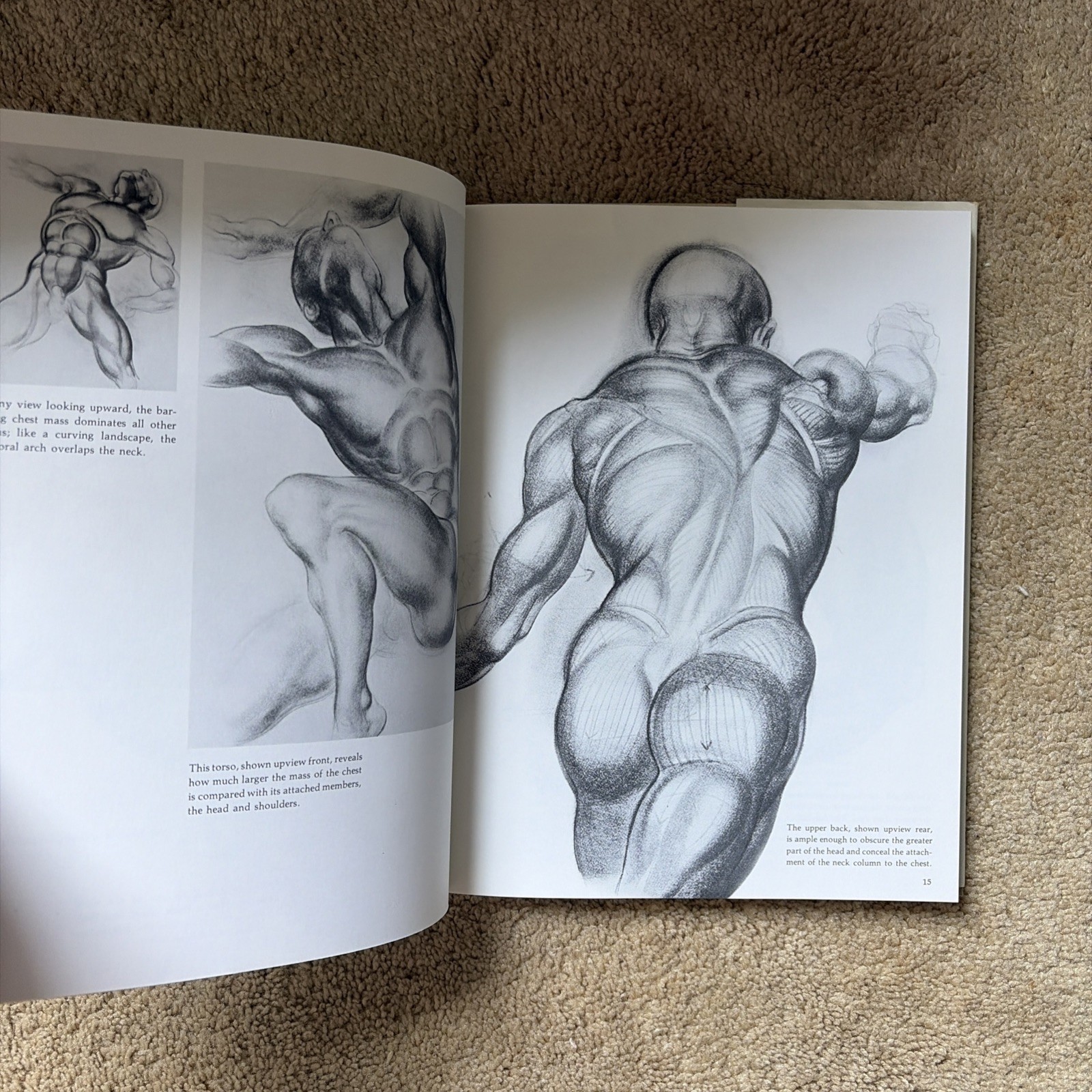 Dynamic Figure Drawing by Hogarth, Burne Free Ship; GR4