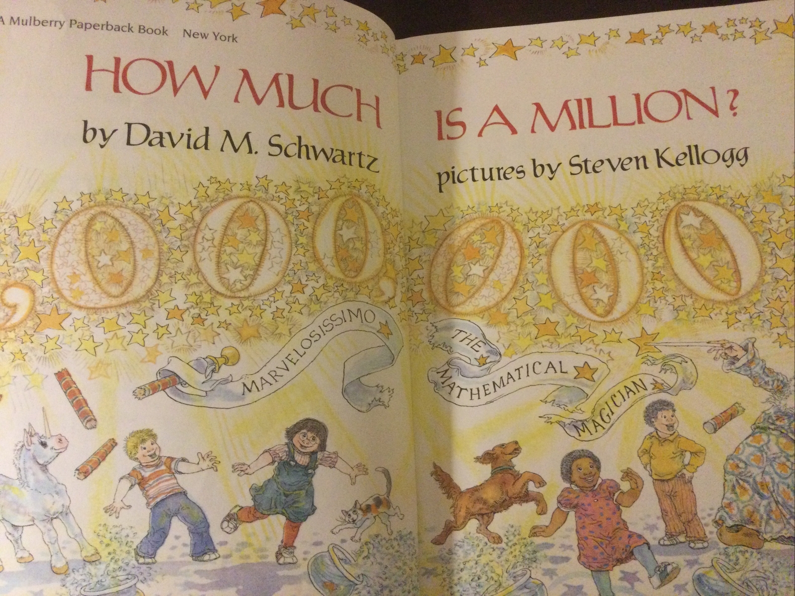 How Much Is a Million? by David M. Schwartz (2004, Trade PB) Illustrated