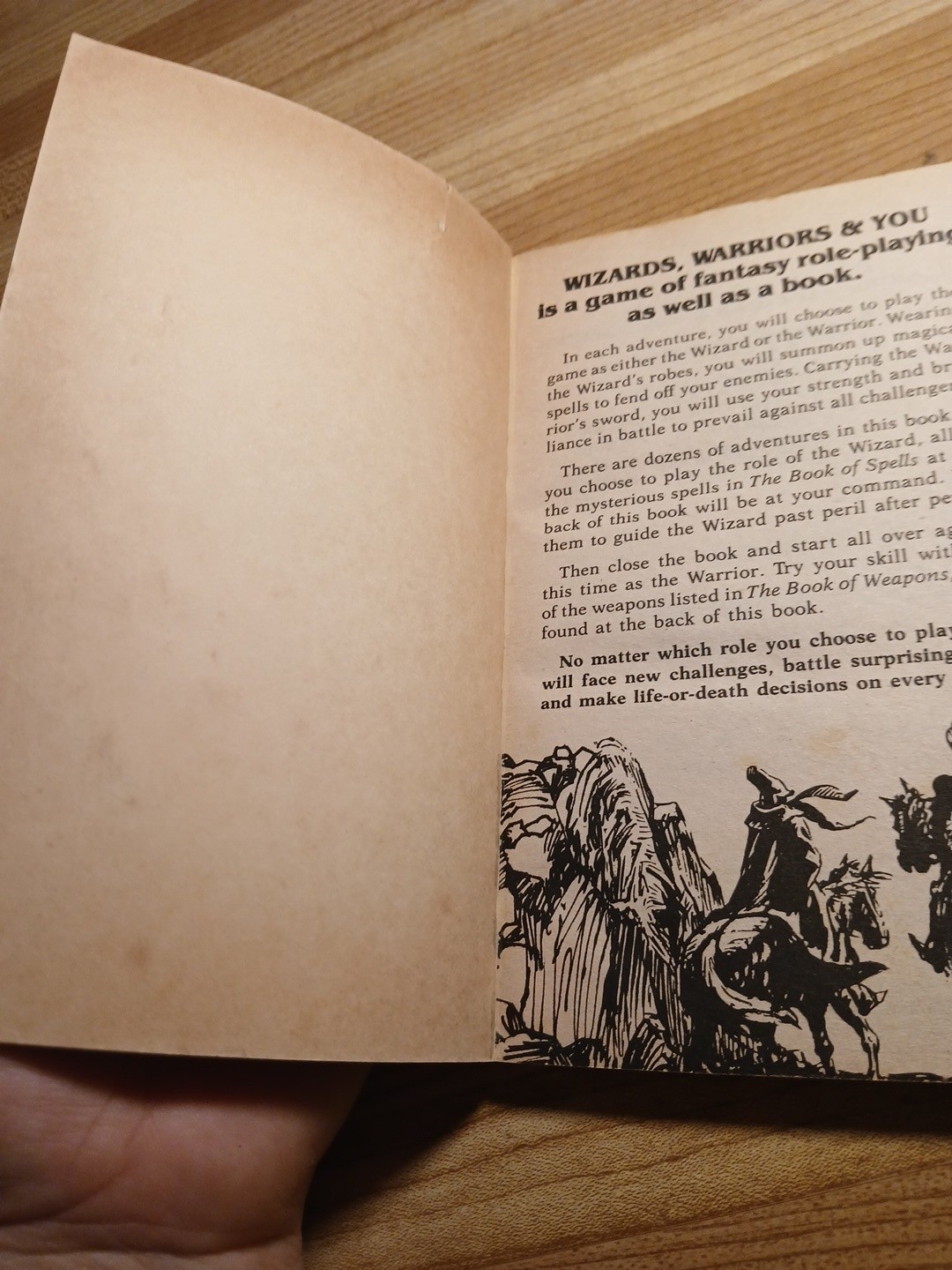 Wizards Warriors & You Book 2 The Siege Of The Dragonriders CYOA