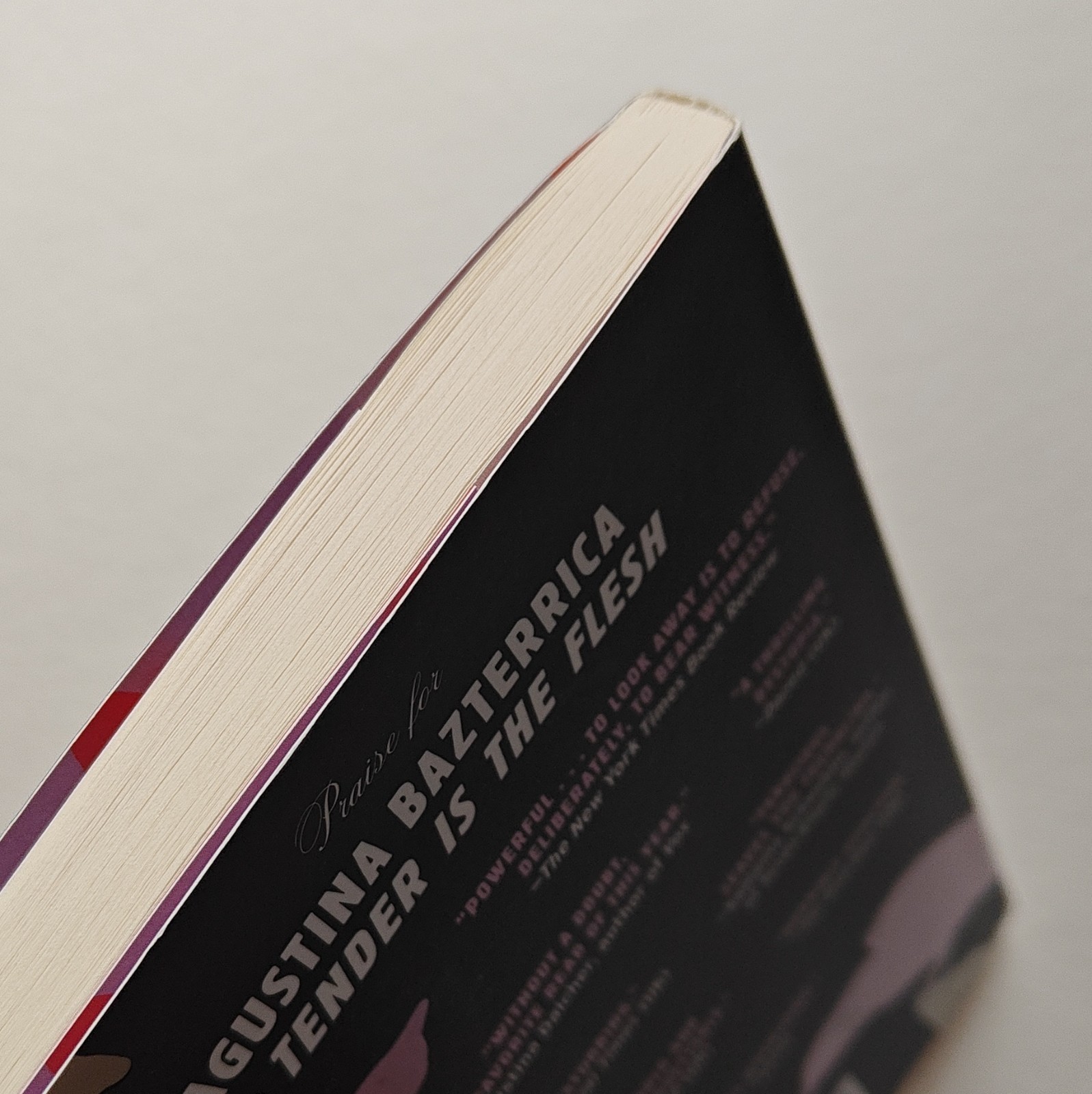 Nineteen Claws and a Black Bird by Agustina Bazterrica Barnes & Noble Exclusive…