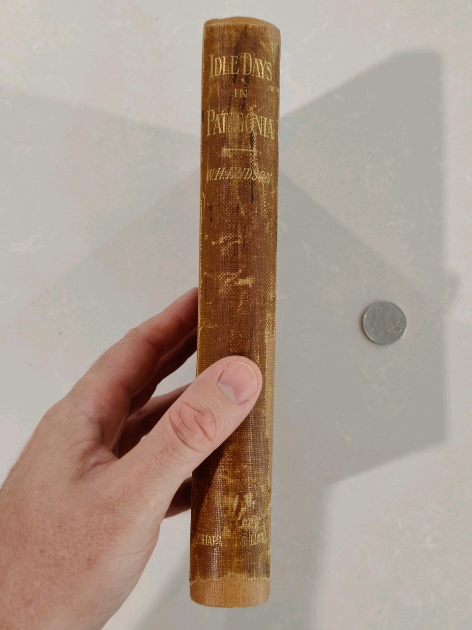 Idle Days in Patagonia W. H. Hudson 1893 1st Edition True First Chapman & Hall