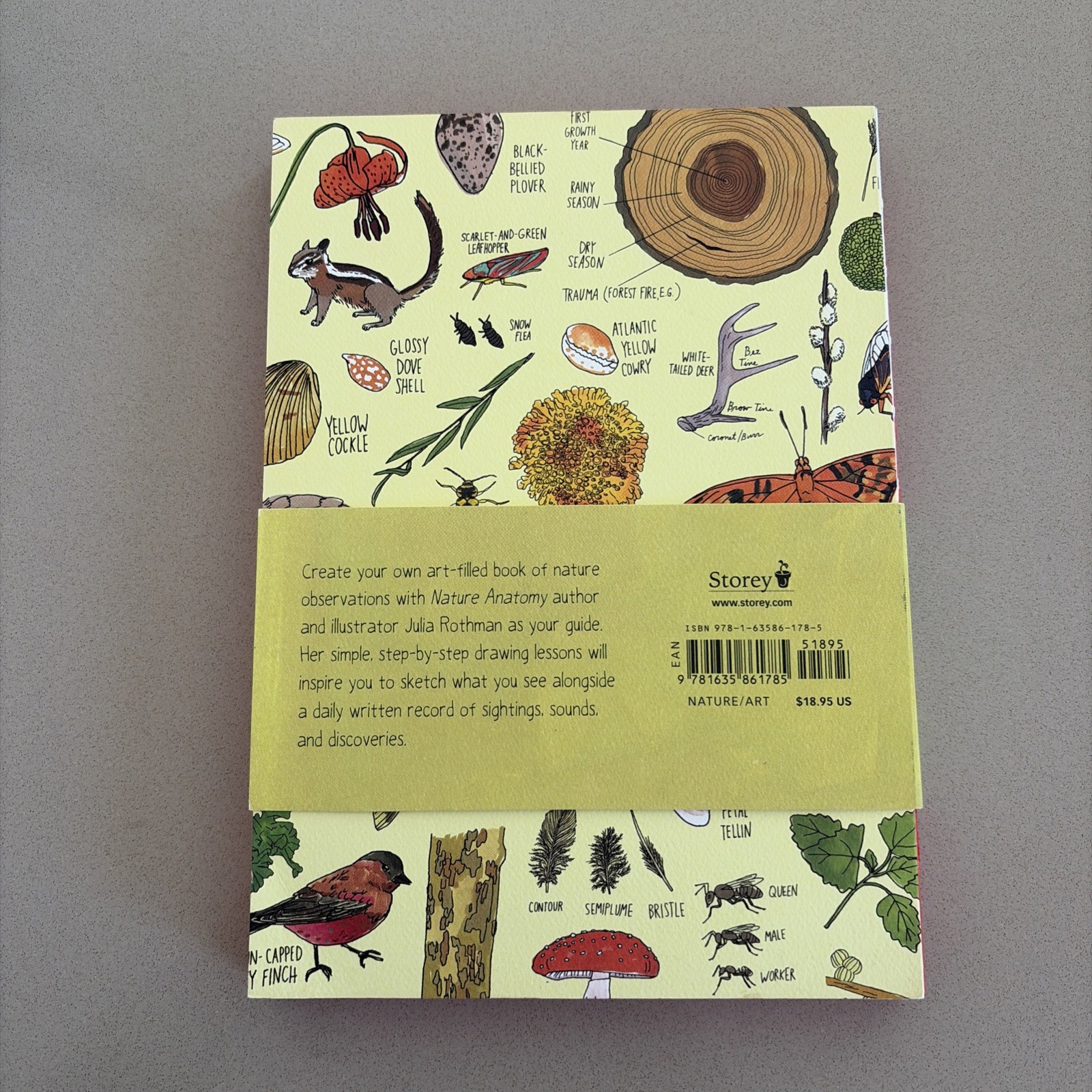 Nature Anatomy Notebook : by Julia Rothman (2019, Paperback)