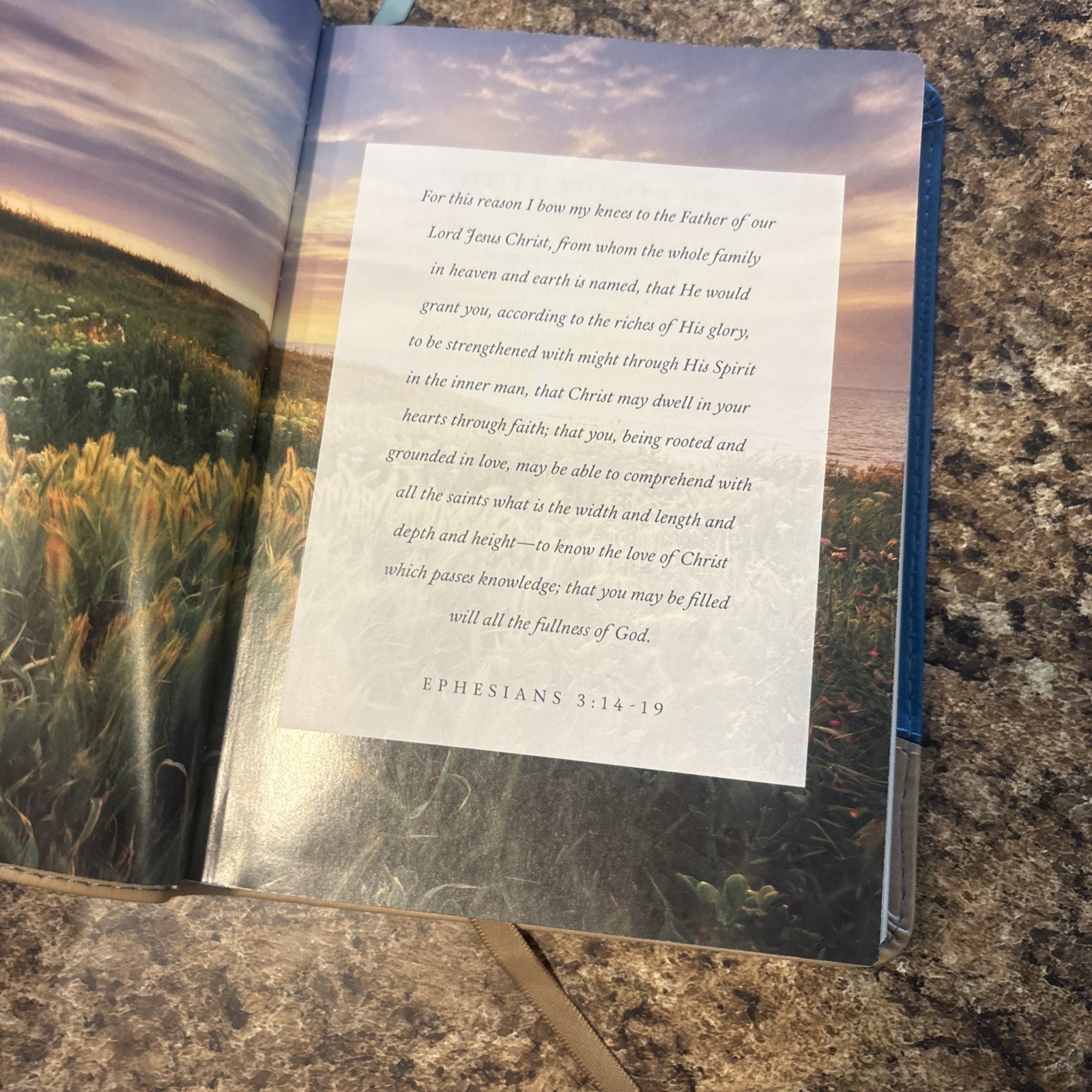 David Jeremiah Leather Bound- Moments W/ God, Strength for Today &