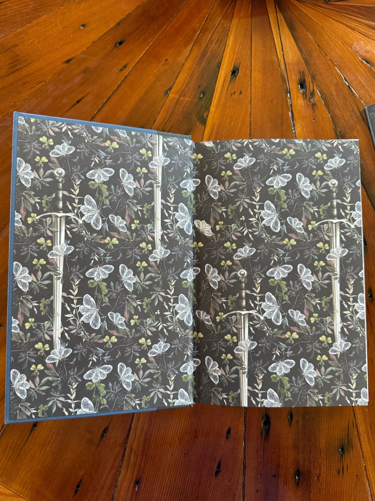 The Knight And The Moth By Rachel Gillig Barnes And Noble Exclusive NEW-UNSIGNED