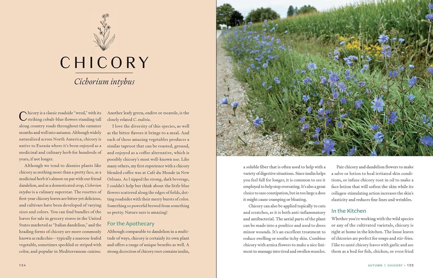 Seasonal Herbs: 48 Edible and Medicinal Varieties for Kitchen and Garden