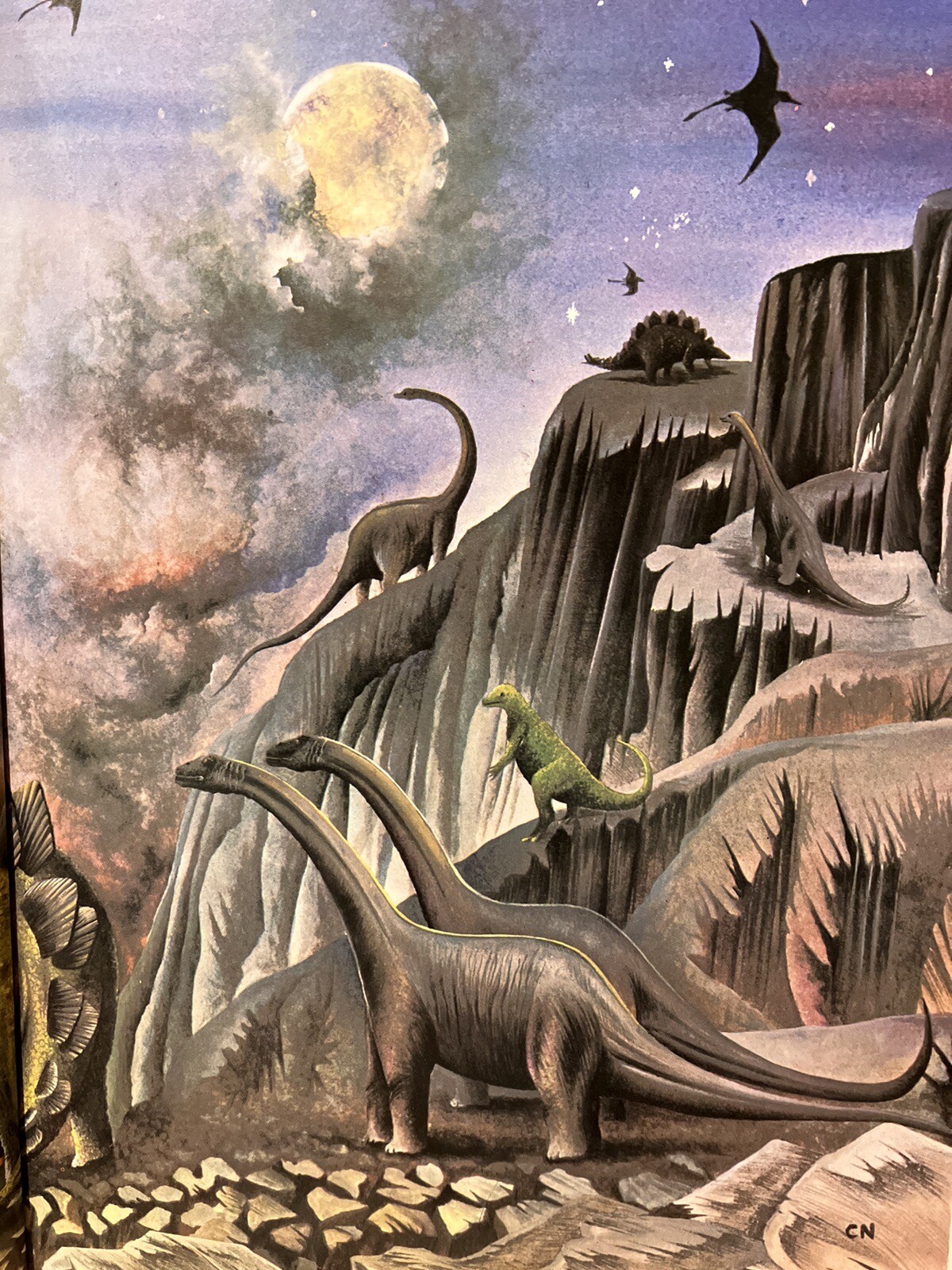 Lot Vintage Dinosaur Library Books Set Of 10 HC Rourke Publishing 80s Hardback