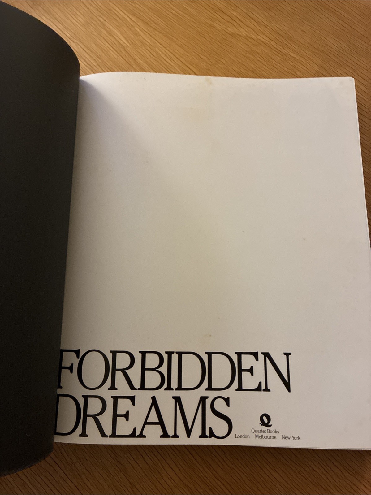 Rebecca Blake: Forbidden Dreams by Lina Wertmuller (1984, Hardcover)