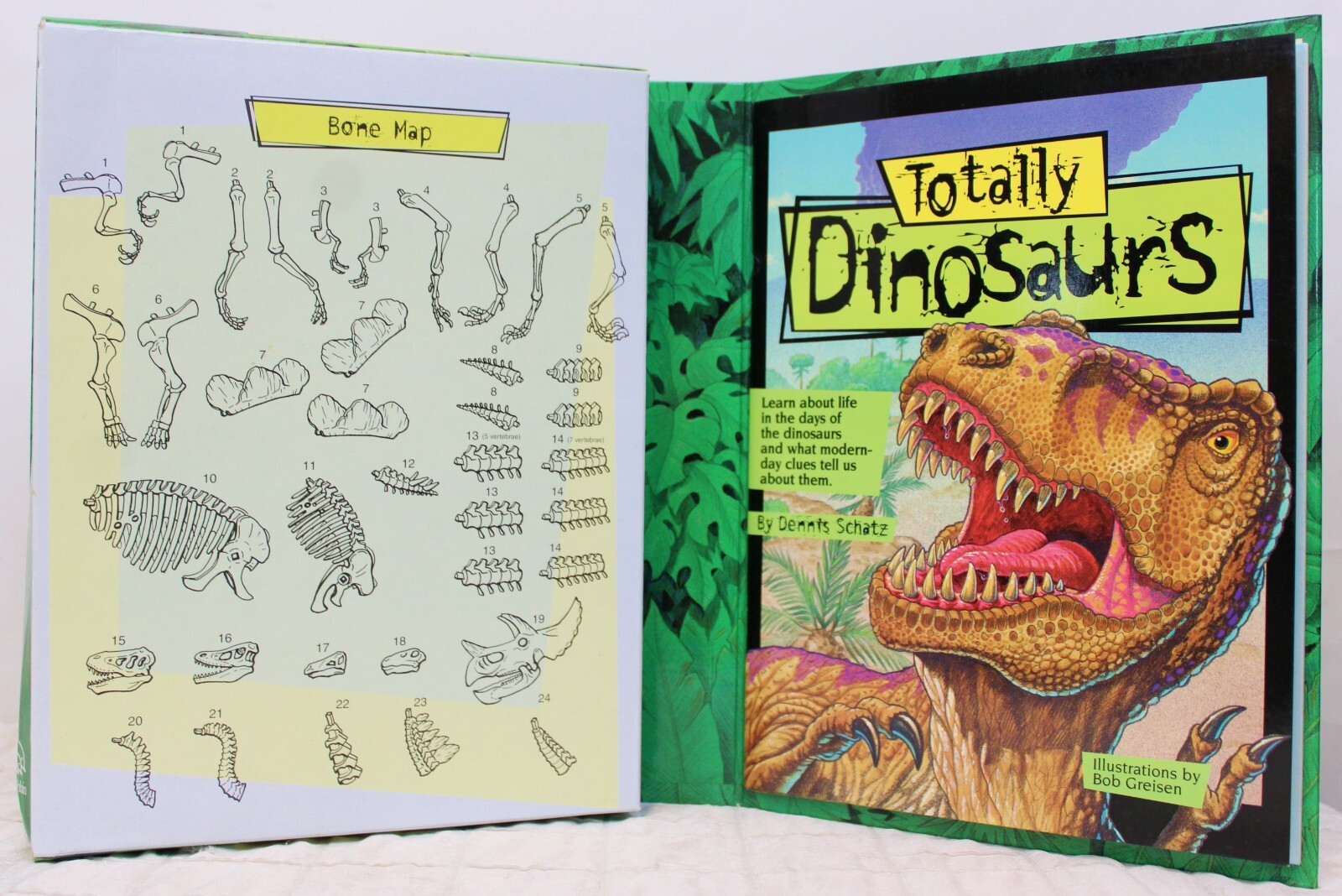 Dennis Schatz Totally Dinosaurs Book Bone Skeleton Model Assembly Paleontology