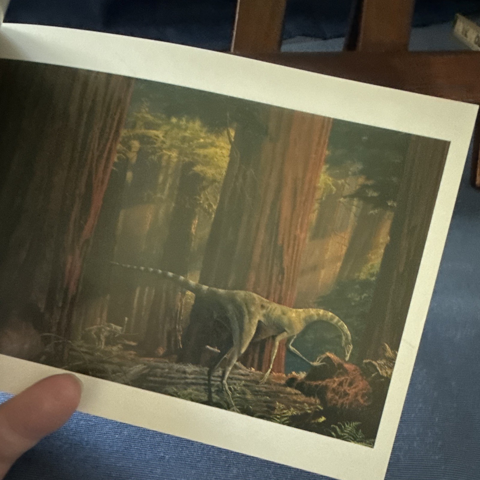 The Dinosaurs Postcard Book Framable Art Prints 1987 Toby Schmid Illus Hallett
