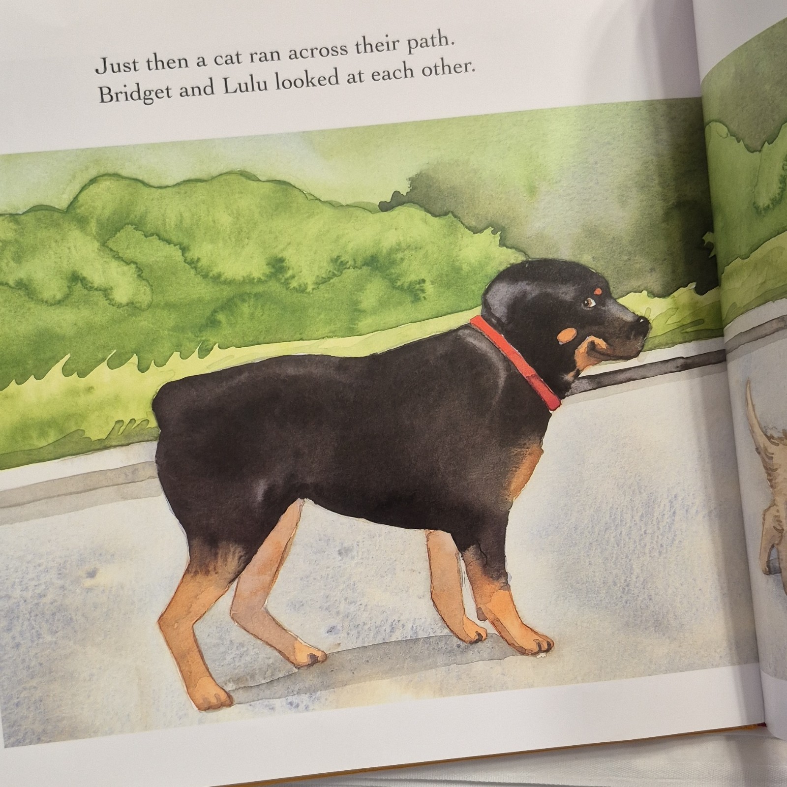 Dutton Children’s Books You Bad Dog! Leslie Baker First Edition Hardcover 2003