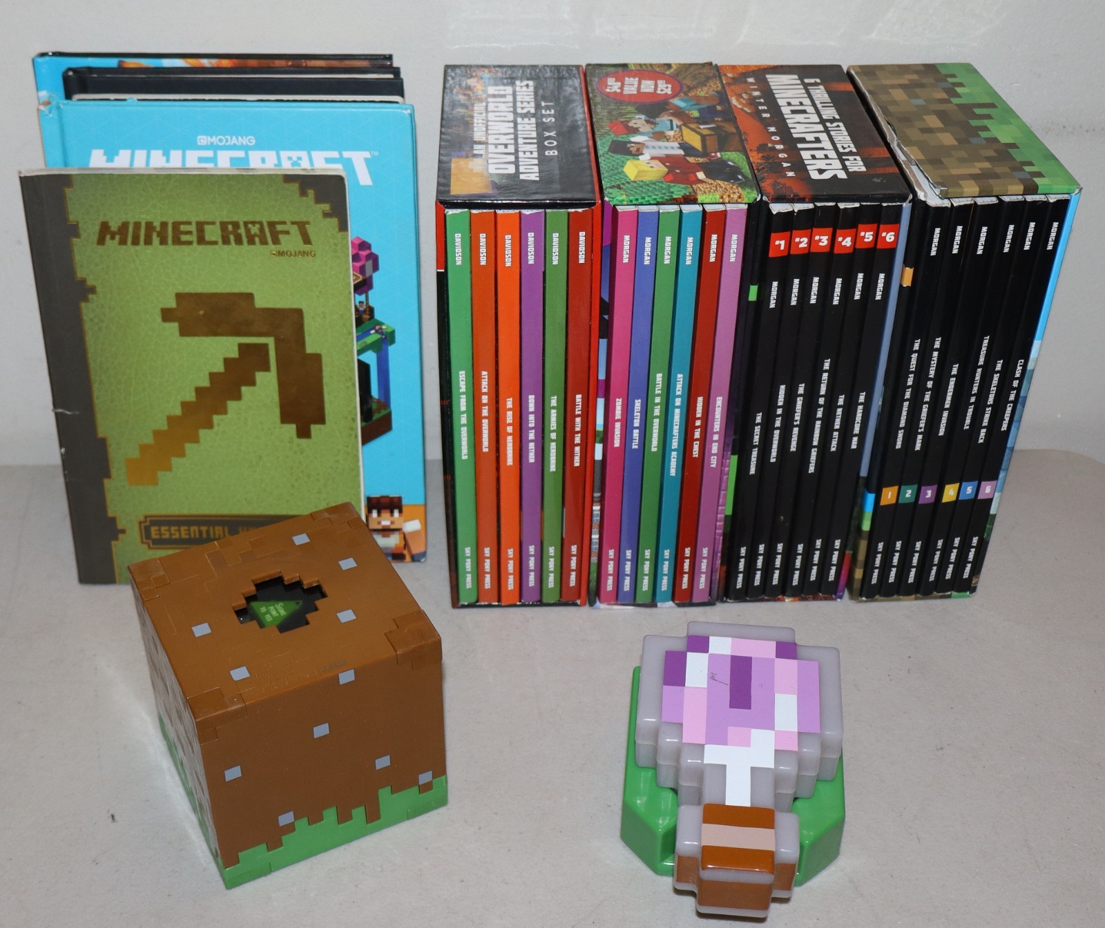 Lot of Minecraft 29 Books Sets & Singles + 2 Toys