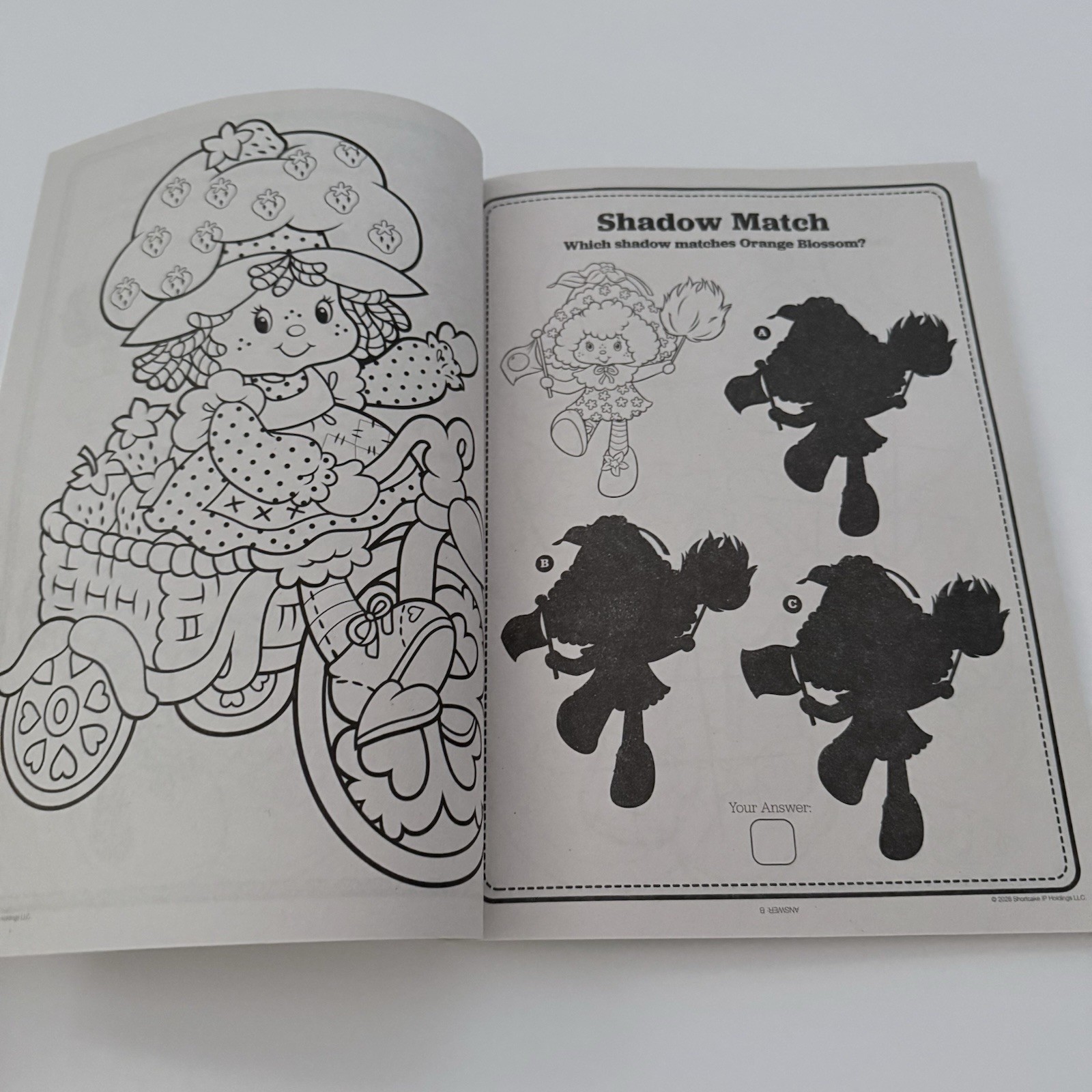 🍓THE WORLD of STRAWBERRY SHORTCAKE 🍓BERRY BESTIES Coloring & Activity Book