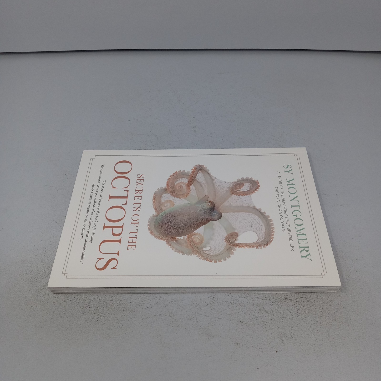 Secrets of the Octopus: 2024 National Geographic Paperback by Sy Montgomery