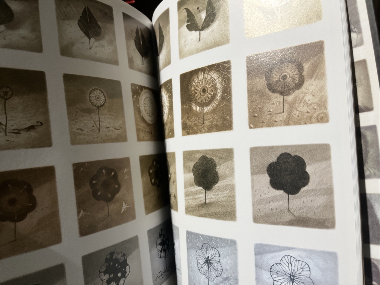 Shaun Tan The Arrival Stated First Edition HC Arthur A Levine Graphic Novel