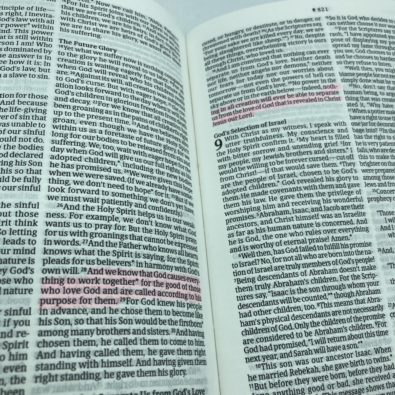 NLT Premium Value Thinline Bible, Filament Enabled (LeatherLike, Bouquet Tea…