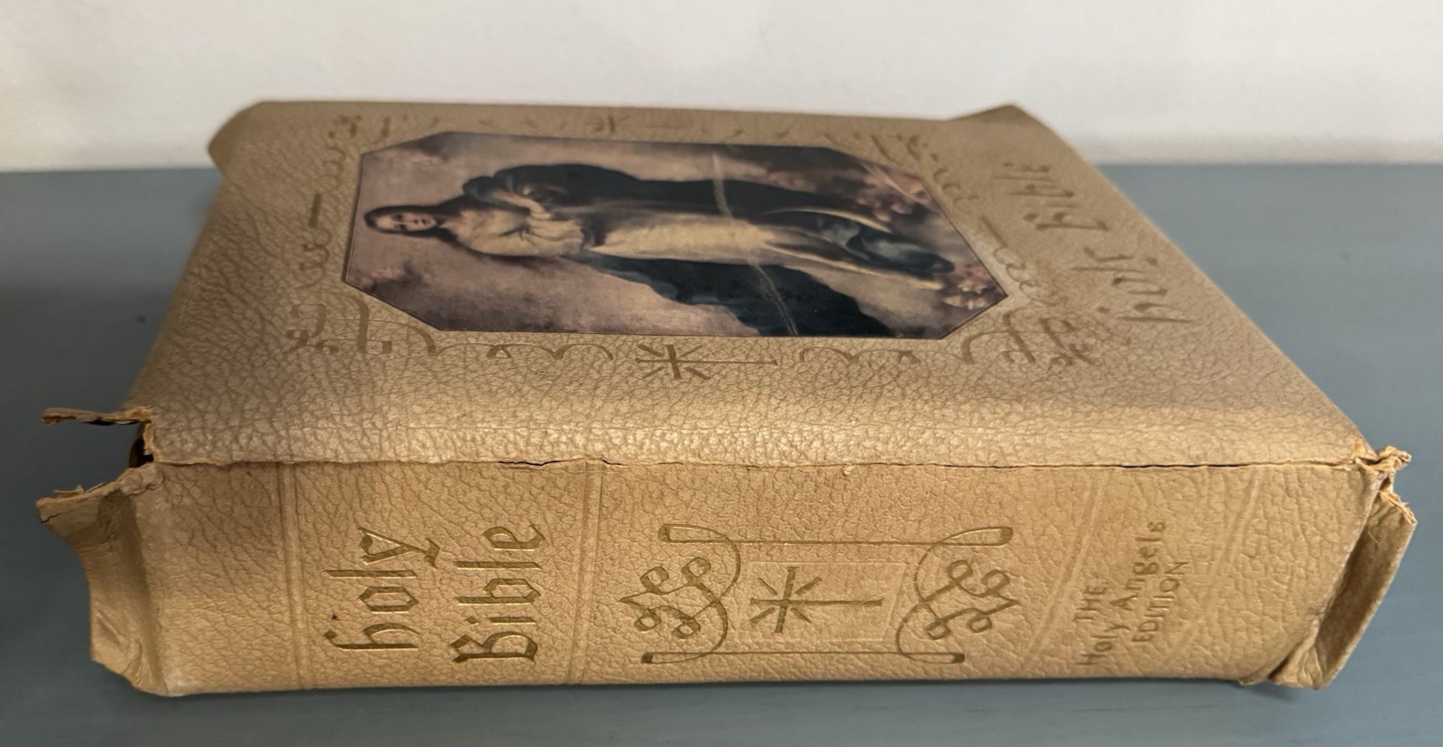 HOLY BIBLE 1960’s Catholic Press HOLY NAME DELUXE EDITION Illustrated