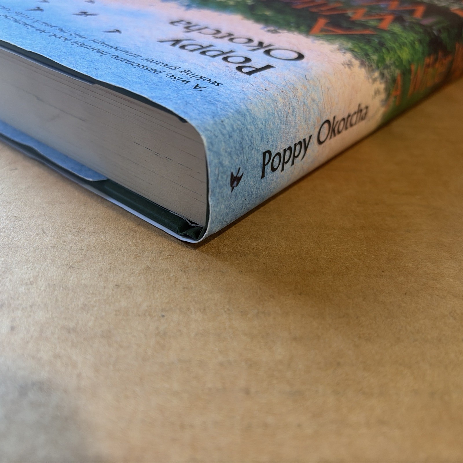 A Wilder Way: How Gardens Grow Us by Poppy Okotcha