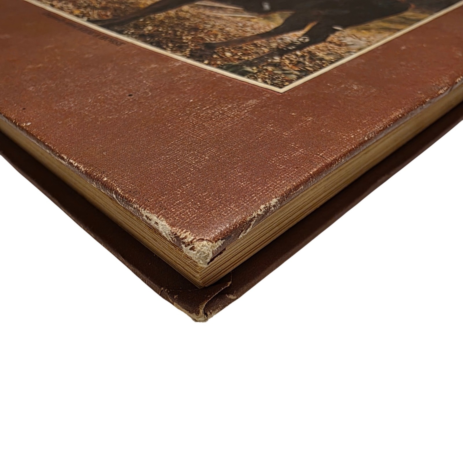 Vintage Horseback Riding Book by Jeanne Mellin 1970 HC Brown 9.25×7.25 Complete