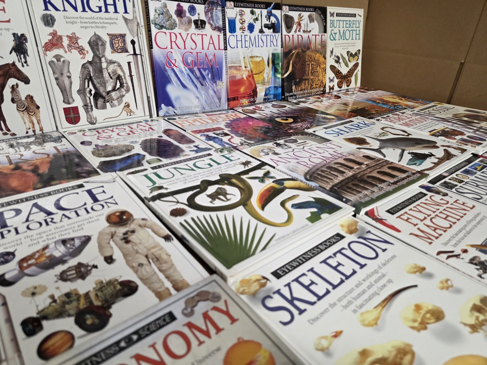 Lot of 10 DK Eyewitness Books Science History Art Animals Homeschool RANDOM Set