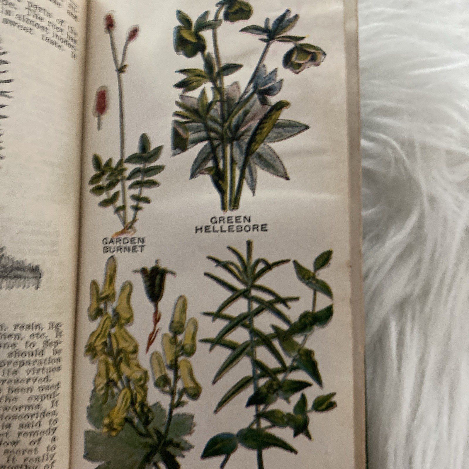 The Herbalist 1934 Joseph E. Meyer Green Hardcover Color Plates Illustrated