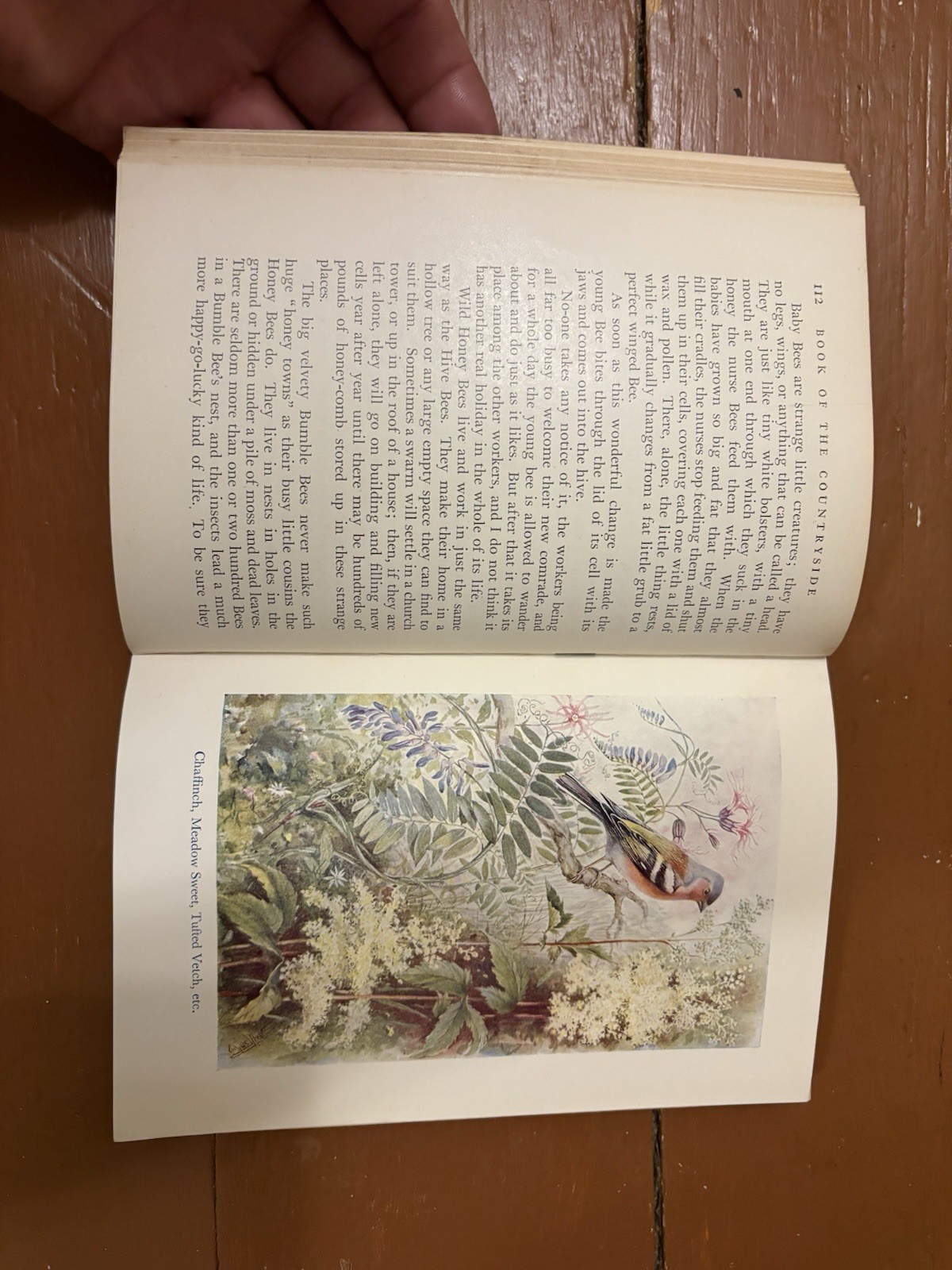 The Book of the Countryside (HC) Martin and Lucy Duncan 1927