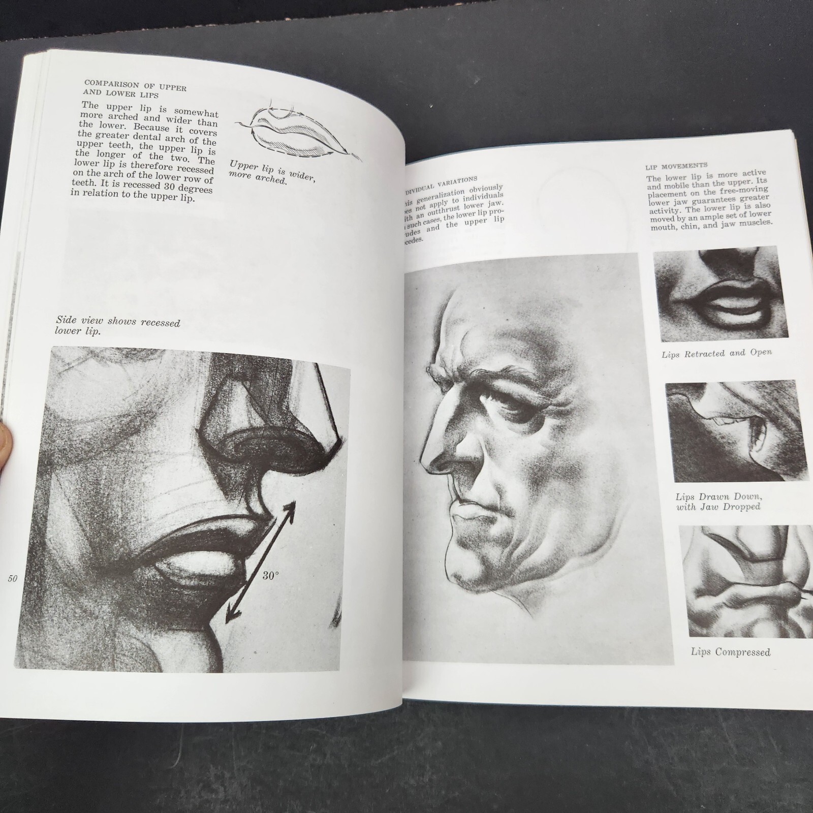 Drawing the Human Head by Burne Hogarth proportions types aging feature movement