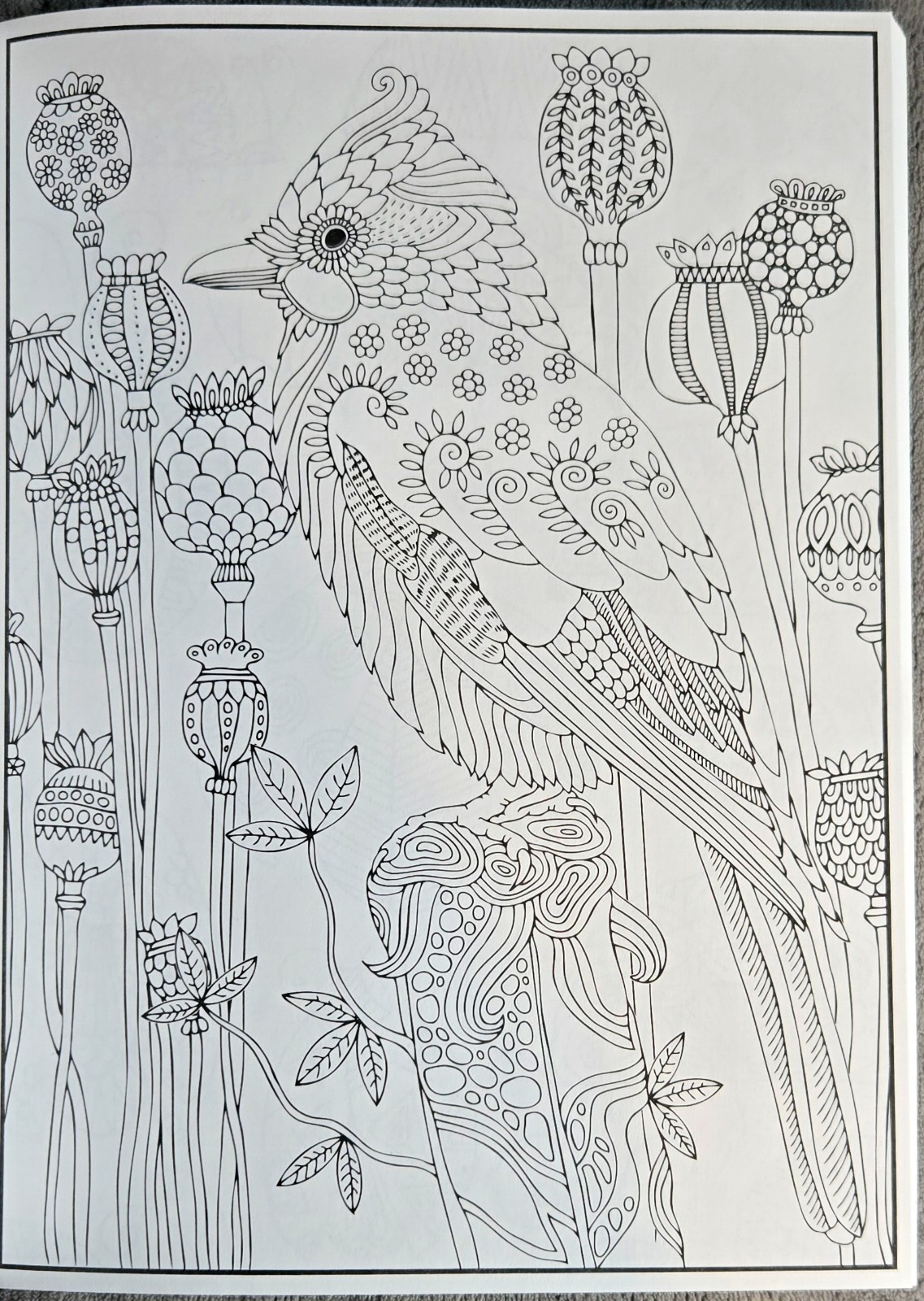 3 Adult Coloring Books Creative Mindful Stress Relief Jade Summer Animals Nature