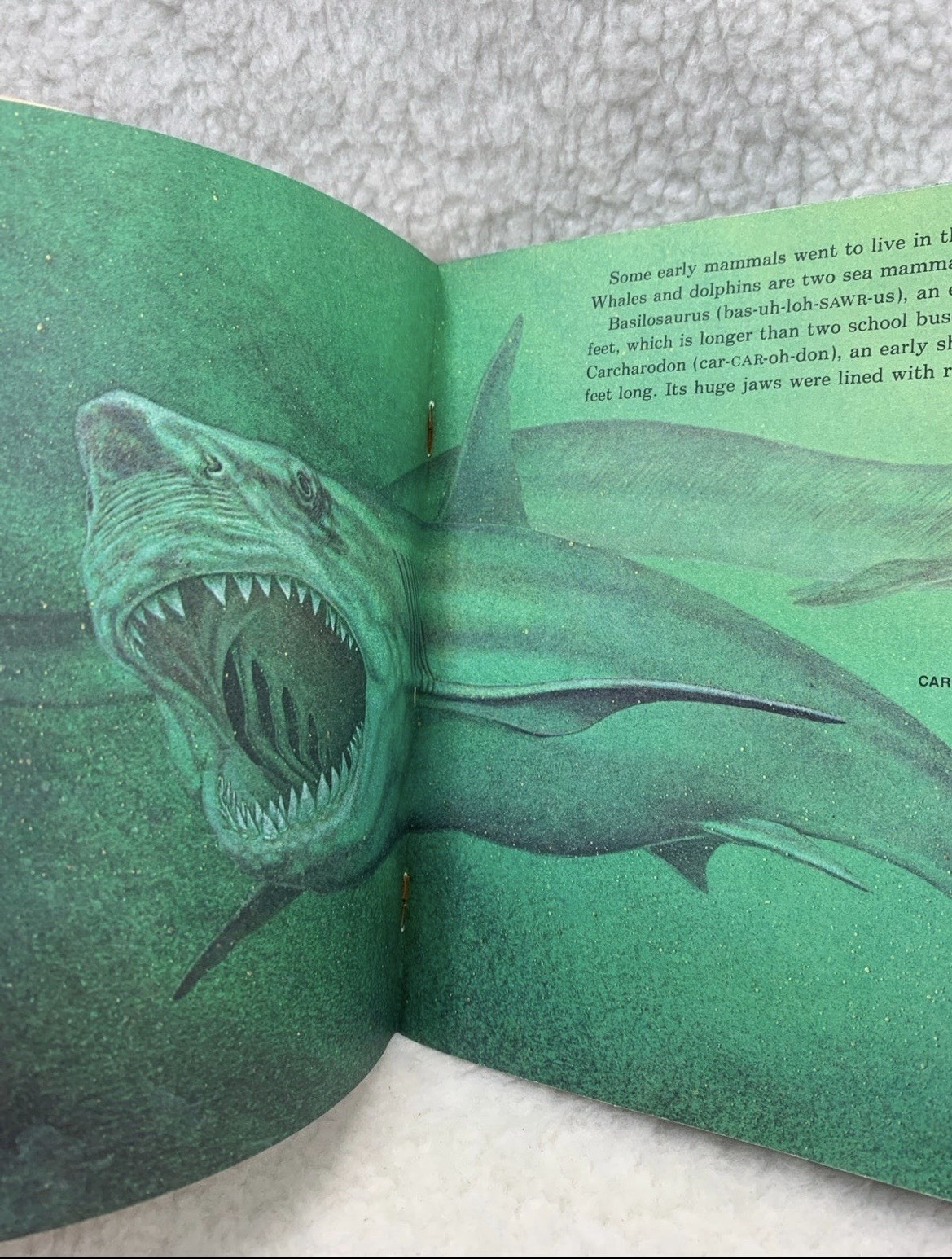 Prehistoric Animals By Peter Zallinger Childrens Book Random House Vintage 1978