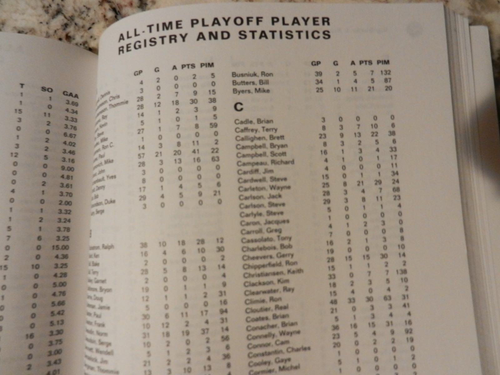 BIG BUCKS & BLUE PUCKS 1997 book WORLD HOCKY ASSOCIATION Murray Greig WHA