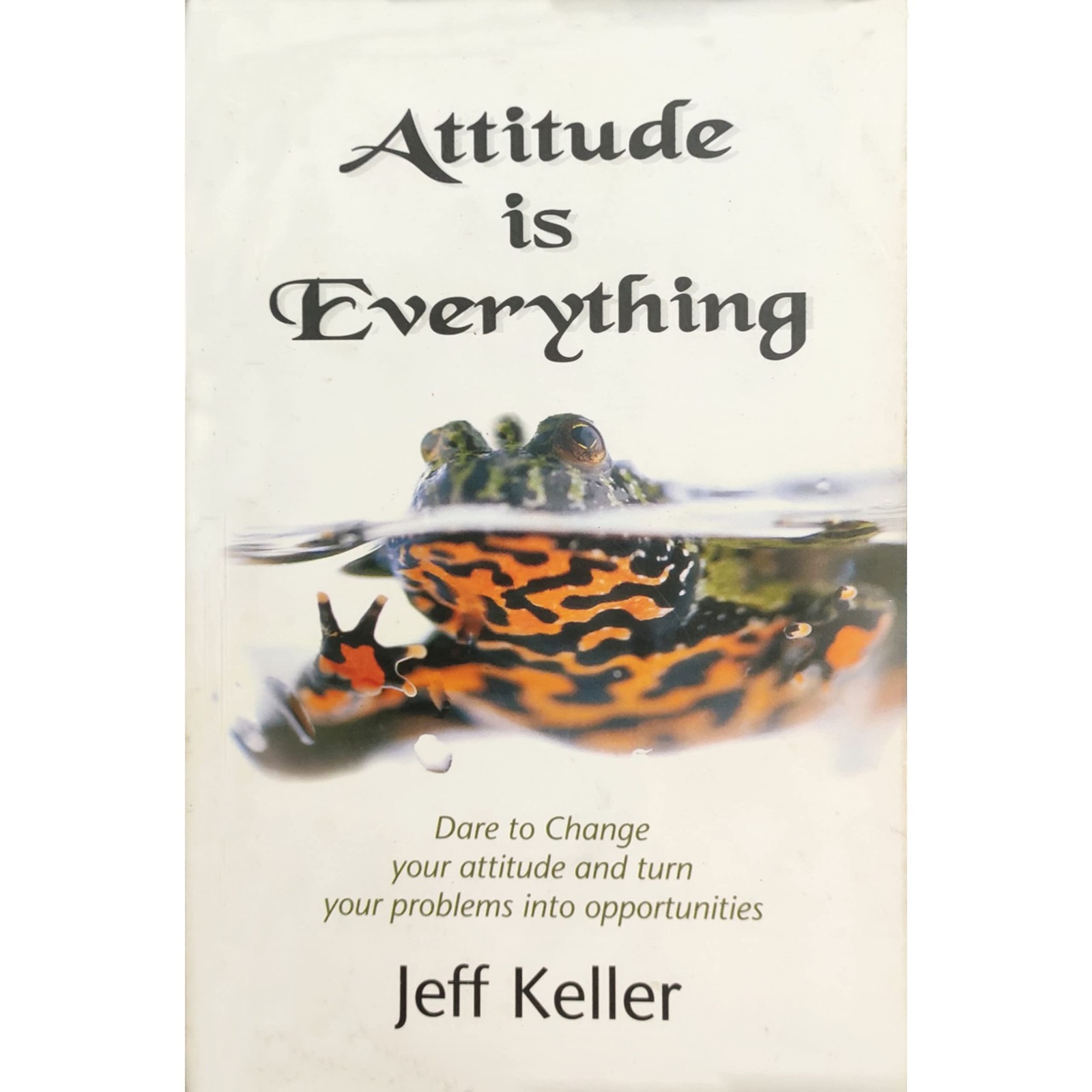 Attitude Is Everything: Change Your Attitude…and You Change Your Life! – K…