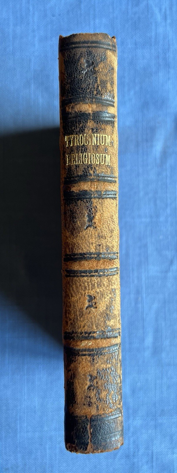 Tyrocinium Religiosum (1896 Vintage)