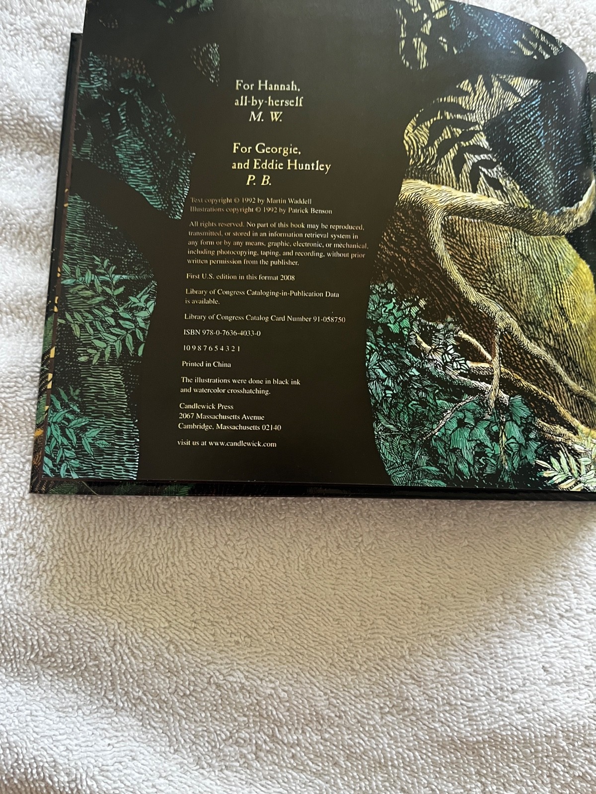Owl🦉Babies📘Candlewick📀Storybook🥚Animations Book +DVD Martin Waddell FreeShip